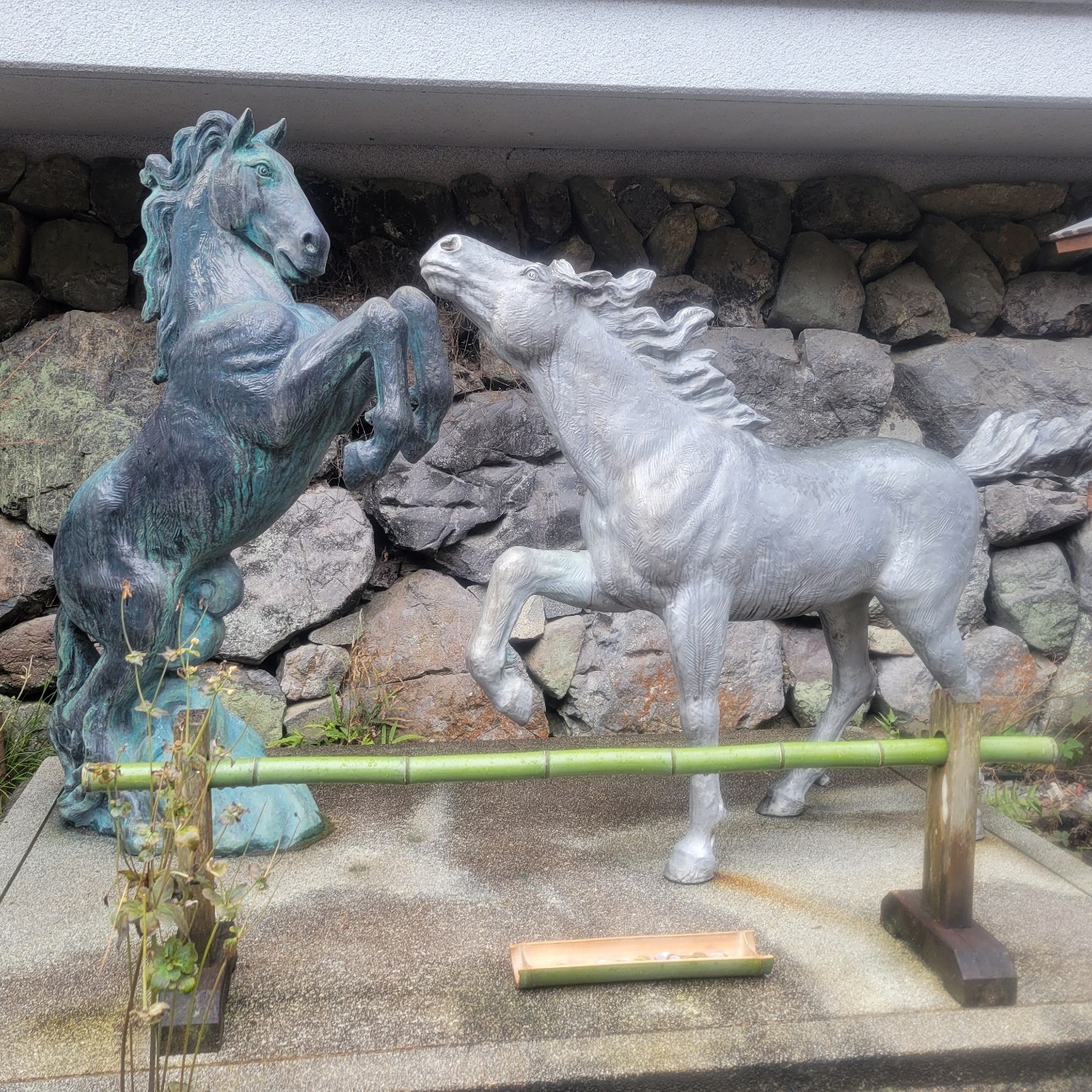 f:id:atoriatoriatori:20260126114320j:image