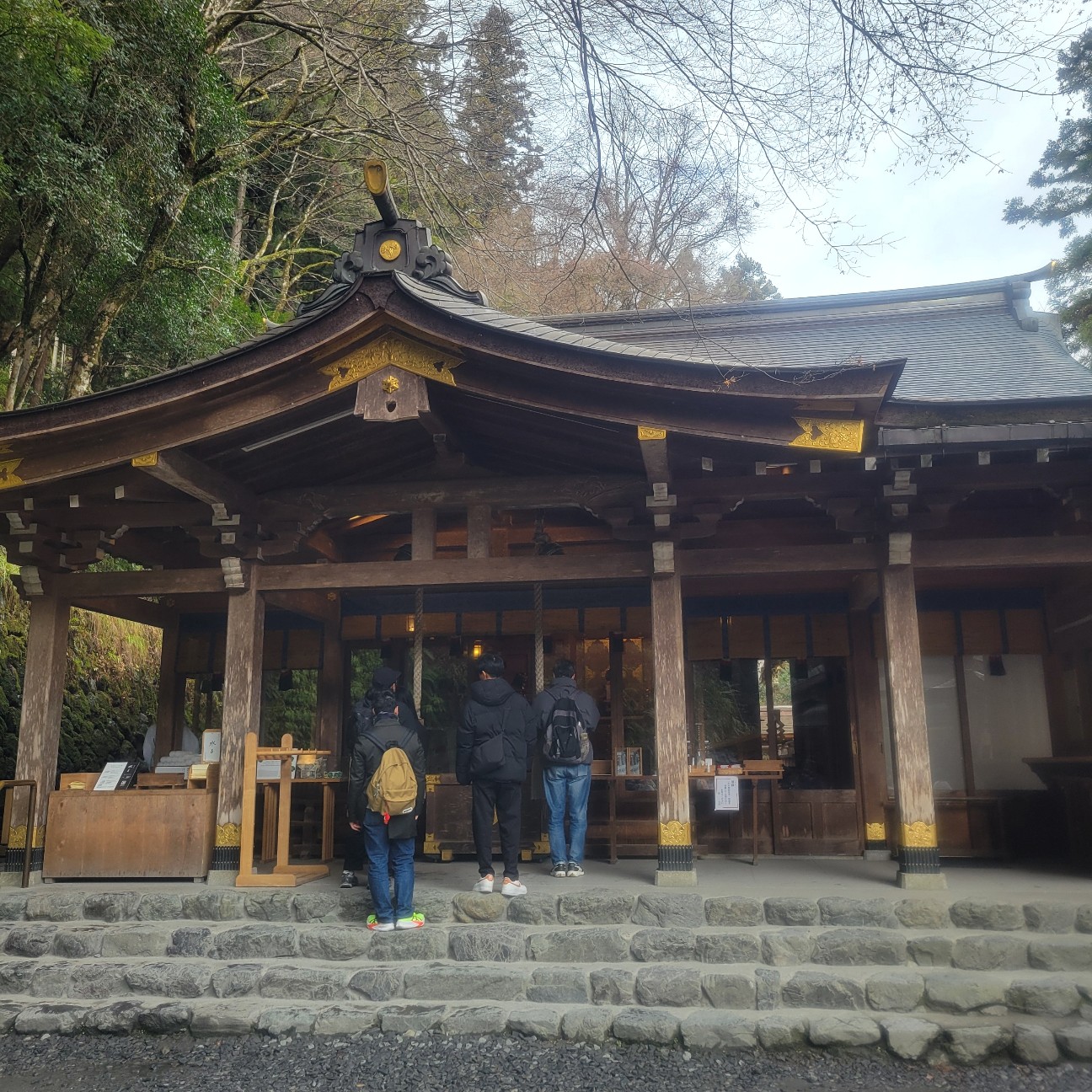 f:id:atoriatoriatori:20260126115541j:image