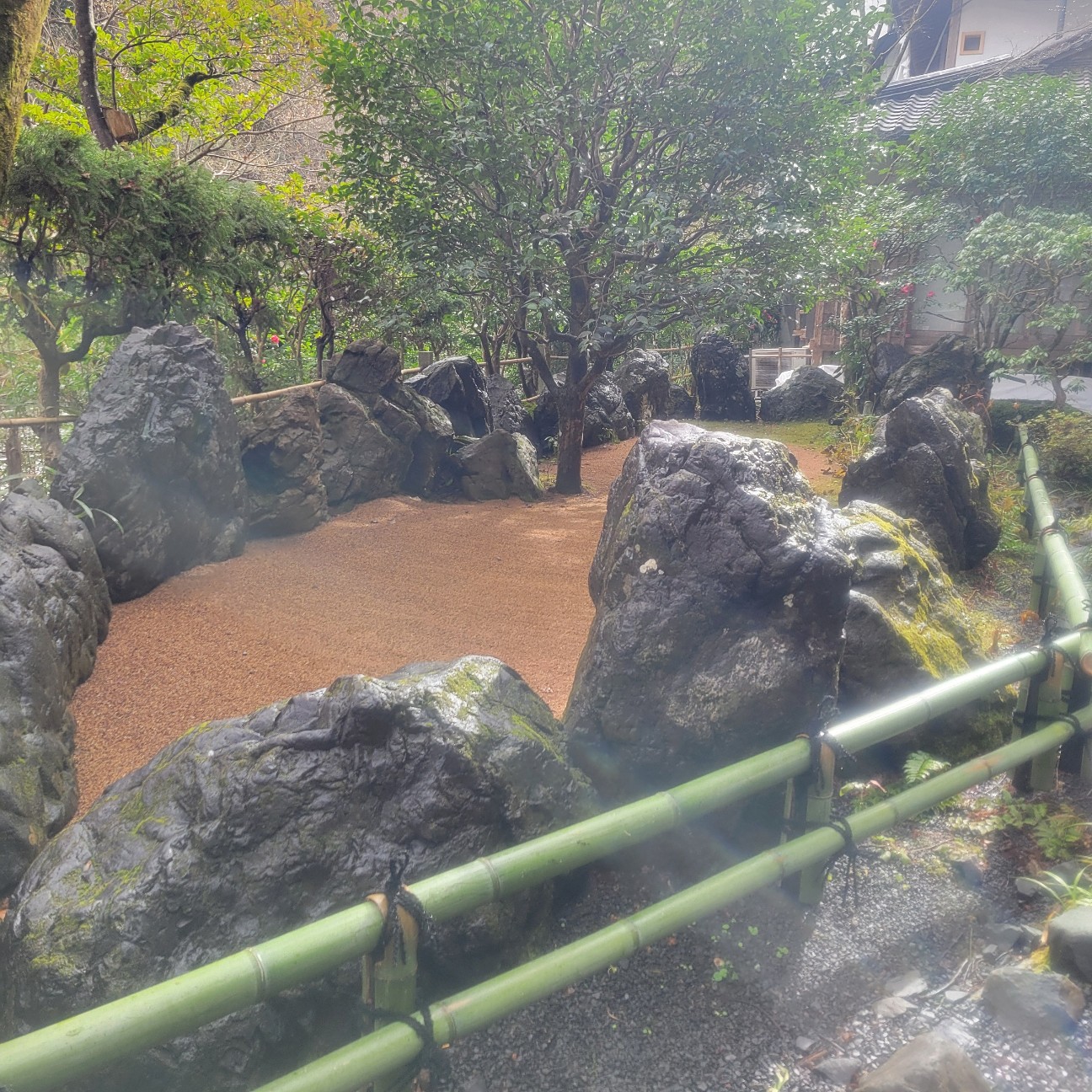 f:id:atoriatoriatori:20260126130637j:image