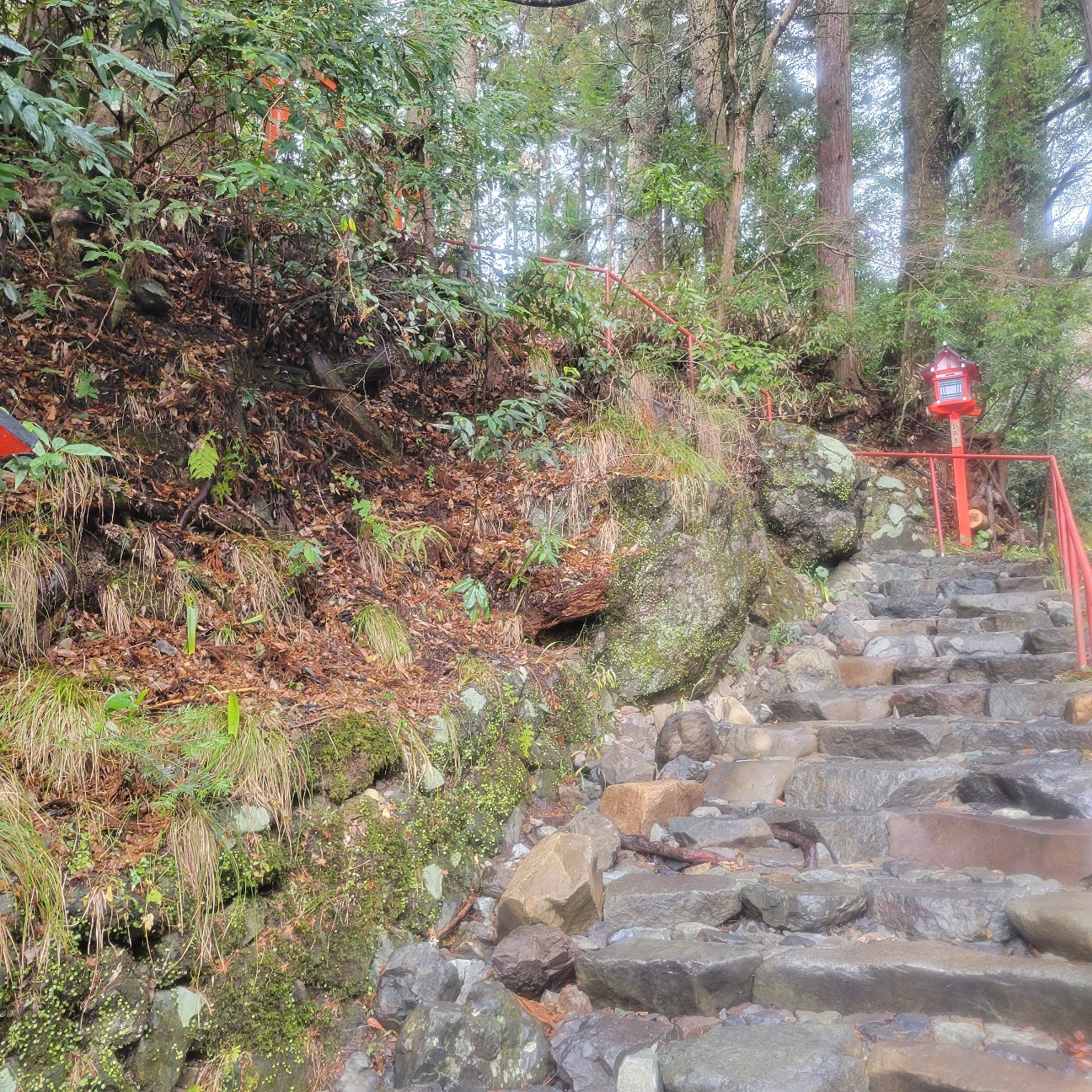 f:id:atoriatoriatori:20260126153201j:image