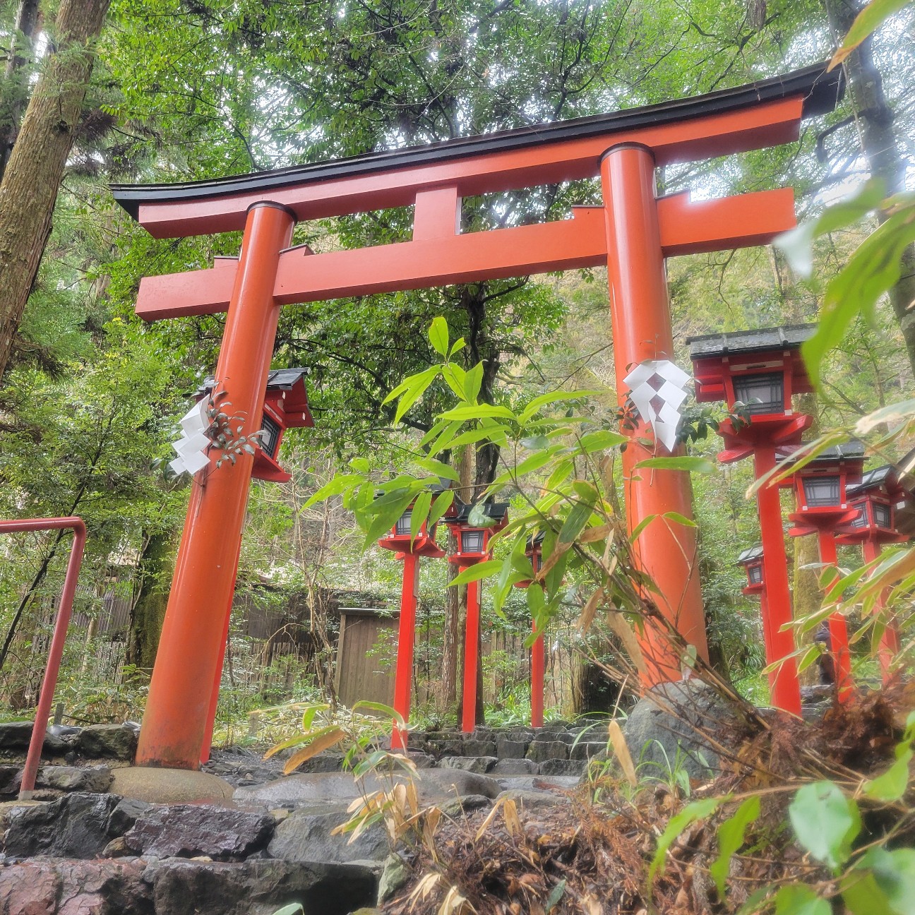 f:id:atoriatoriatori:20260126153209j:image