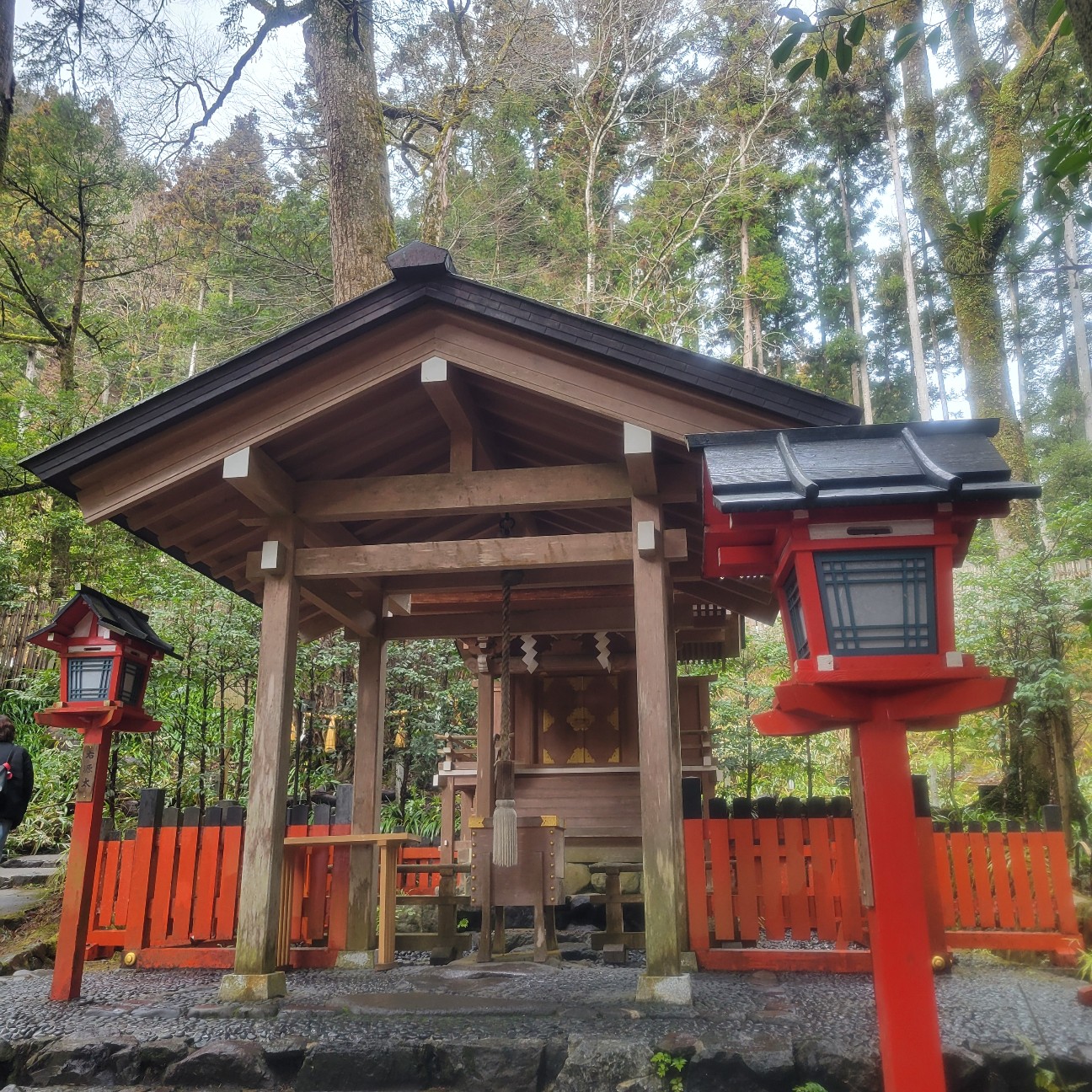 f:id:atoriatoriatori:20260126153259j:image