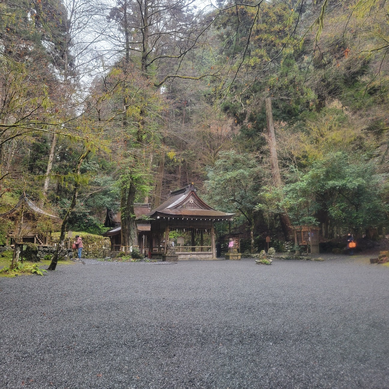 f:id:atoriatoriatori:20260126155709j:image