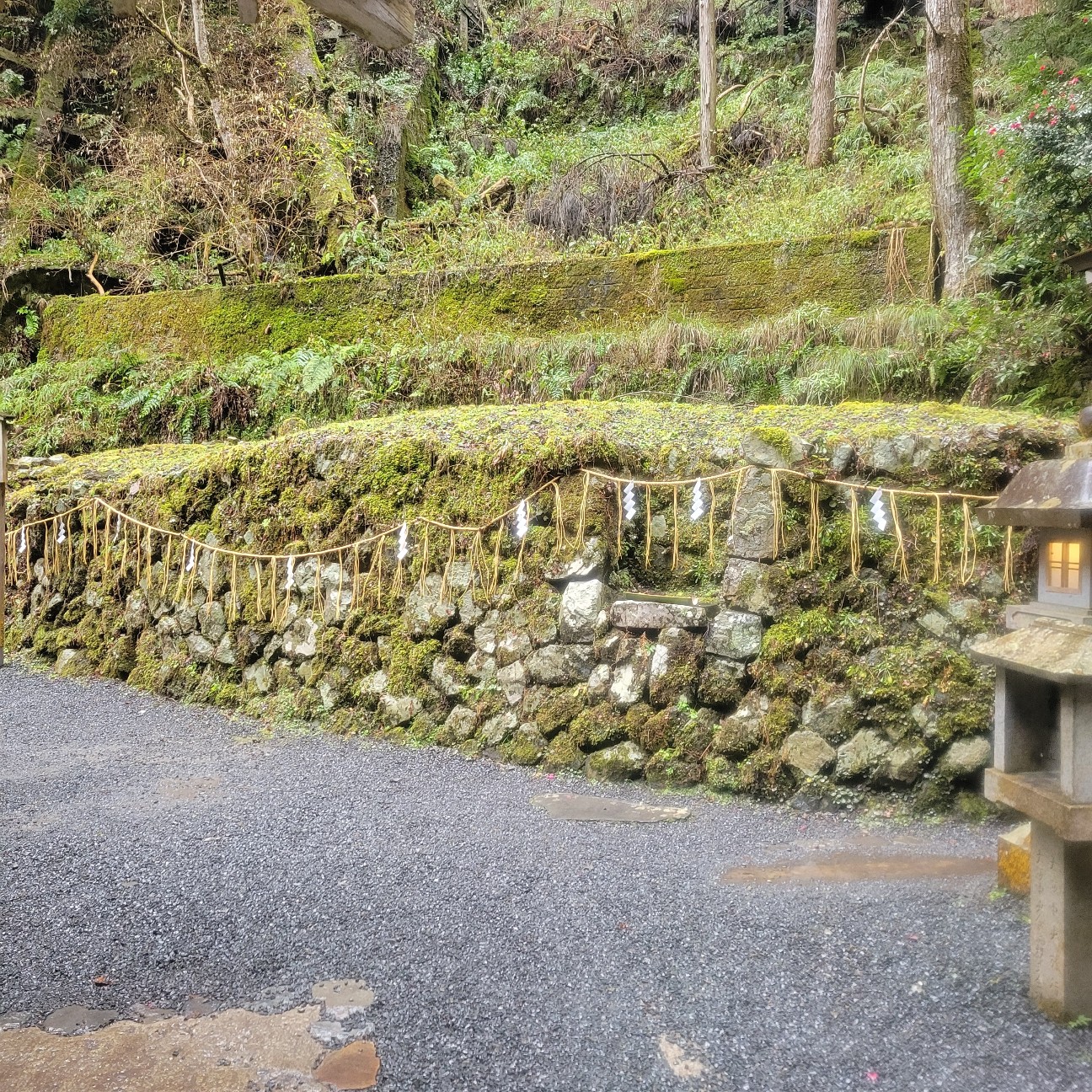 f:id:atoriatoriatori:20260126164522j:image
