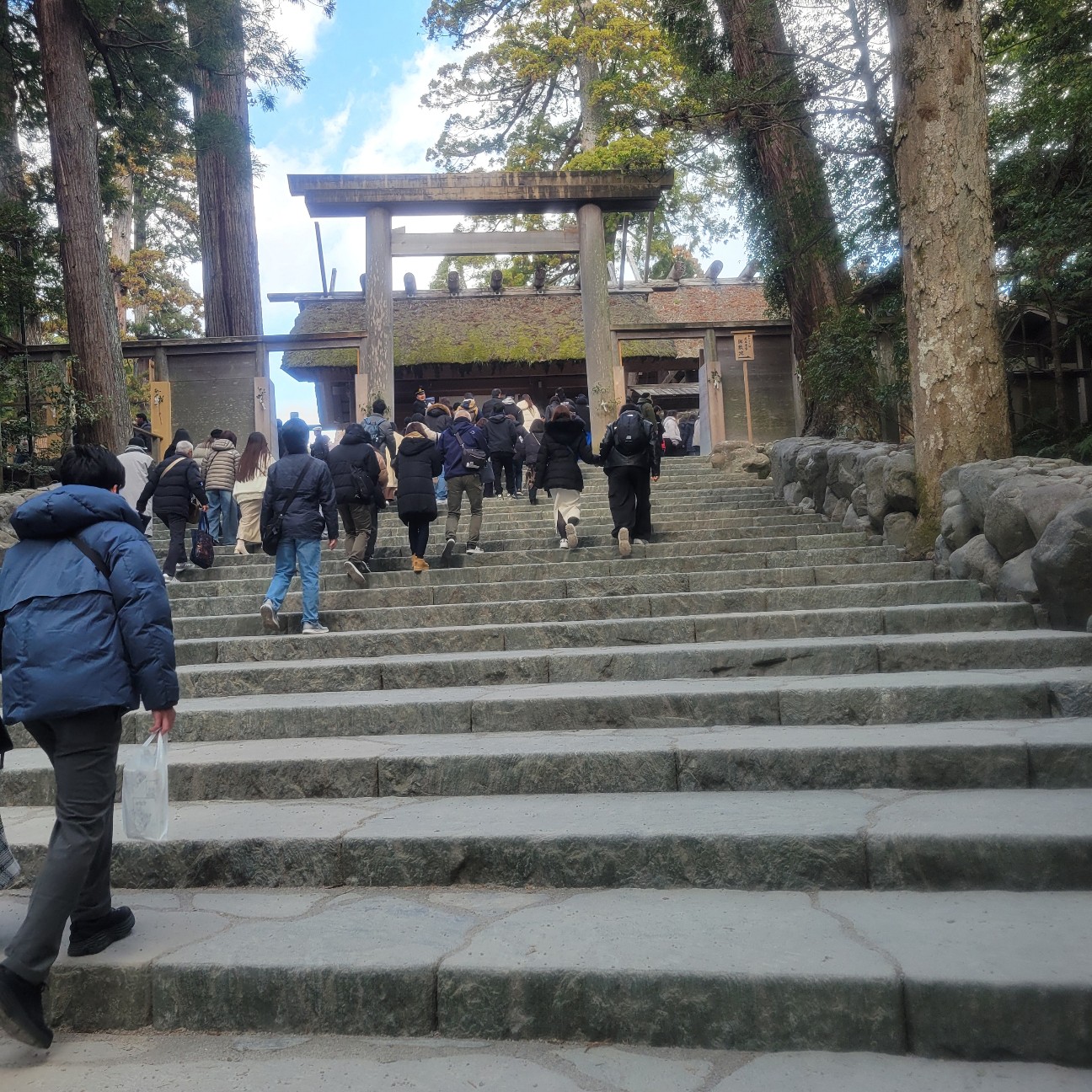 f:id:atoriatoriatori:20260127154834j:image