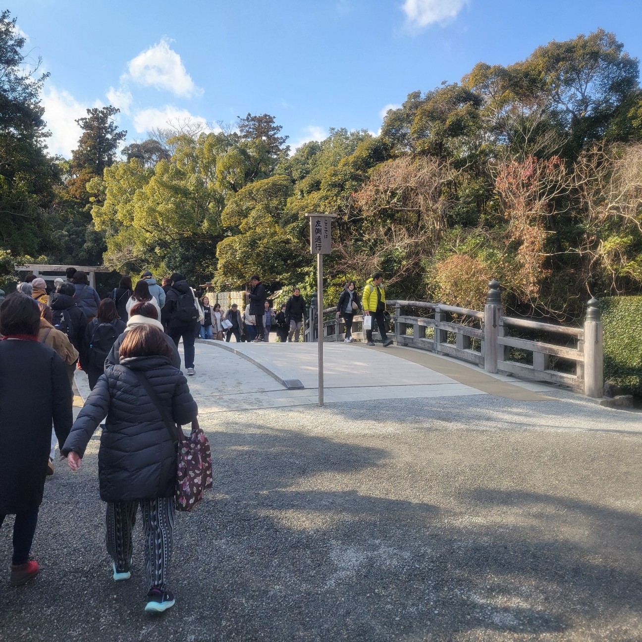 f:id:atoriatoriatori:20260129113746j:image