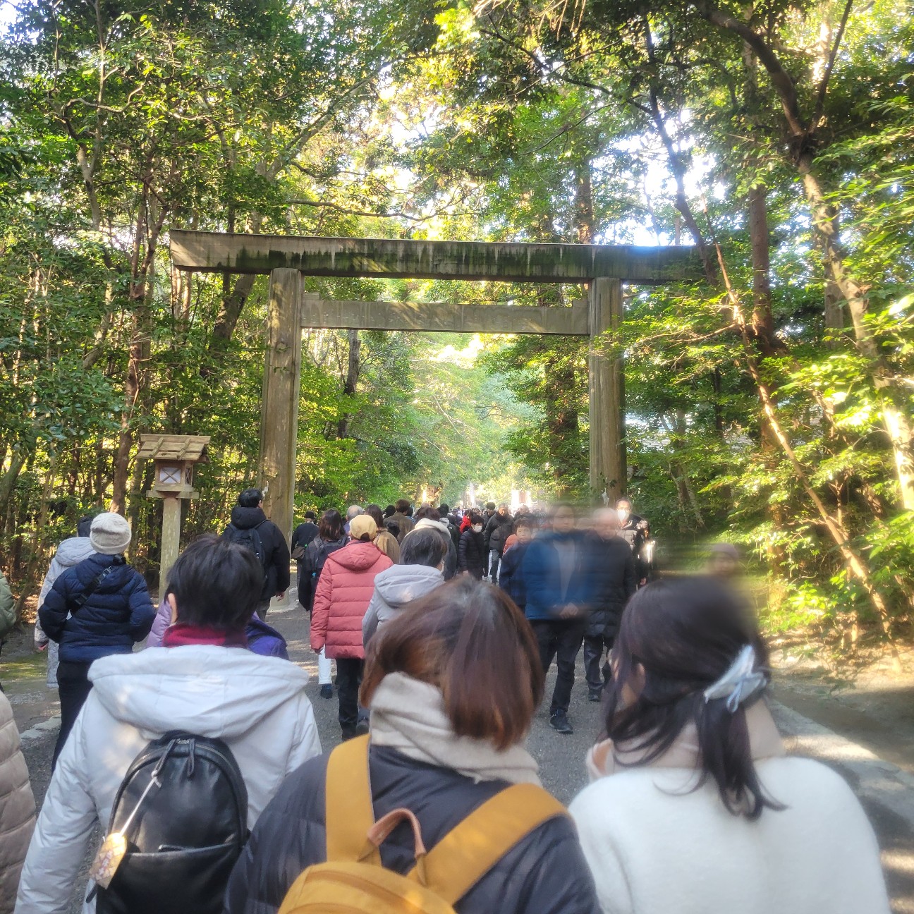 f:id:atoriatoriatori:20260129145323j:image