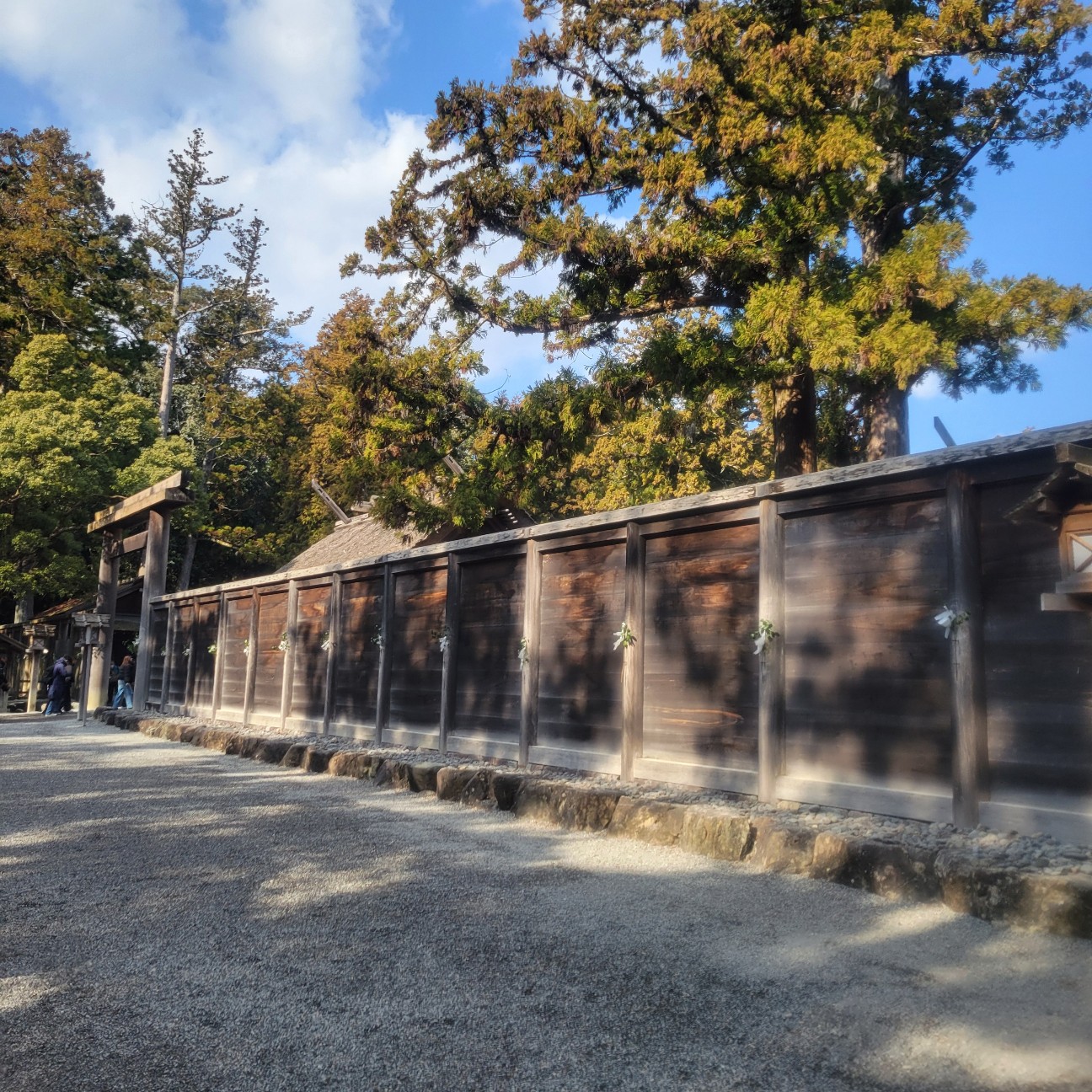 f:id:atoriatoriatori:20260129153702j:image