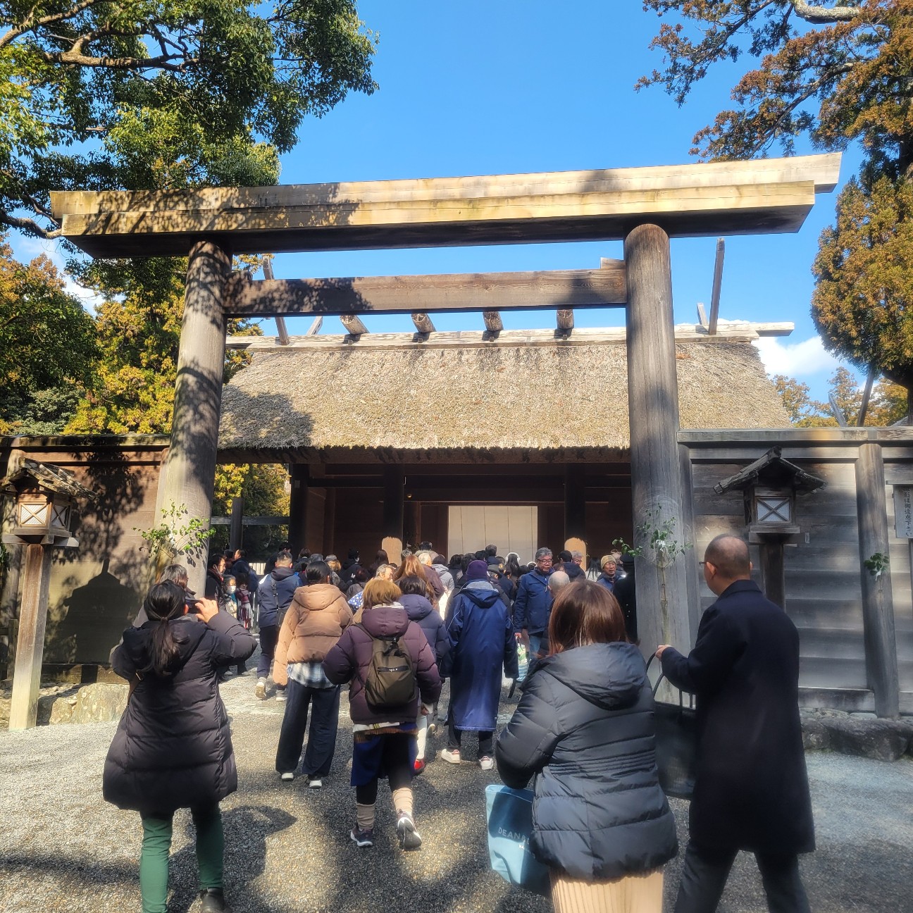 f:id:atoriatoriatori:20260129153747j:image