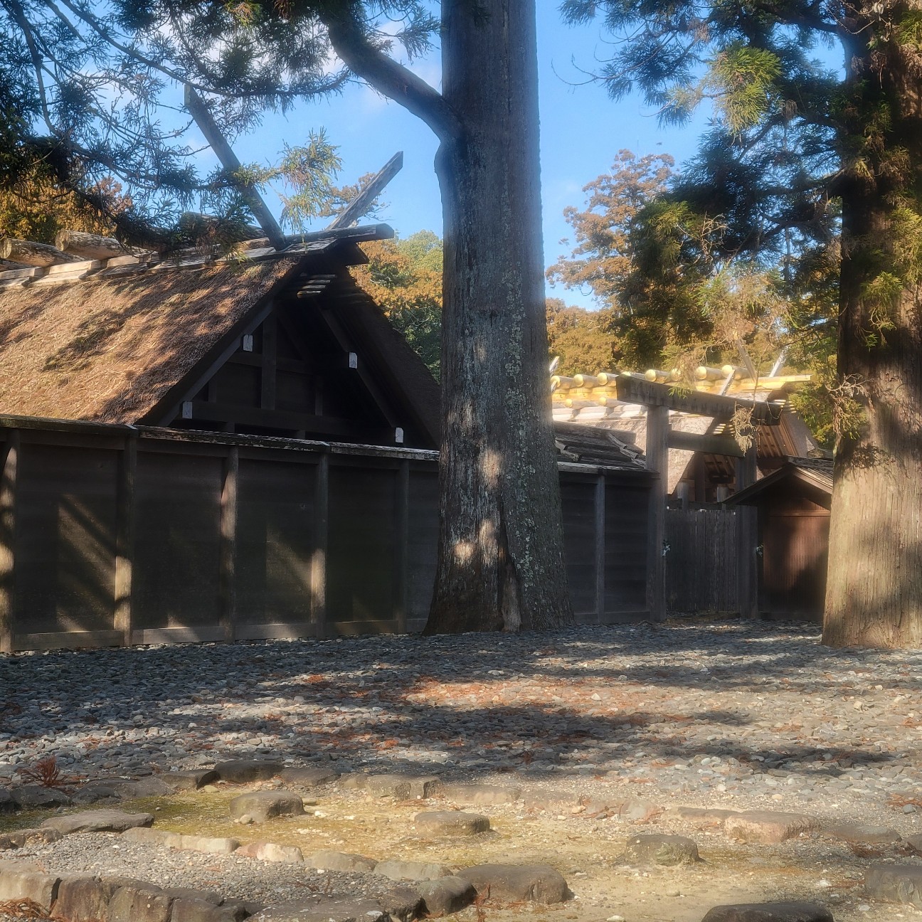 f:id:atoriatoriatori:20260129155917j:image