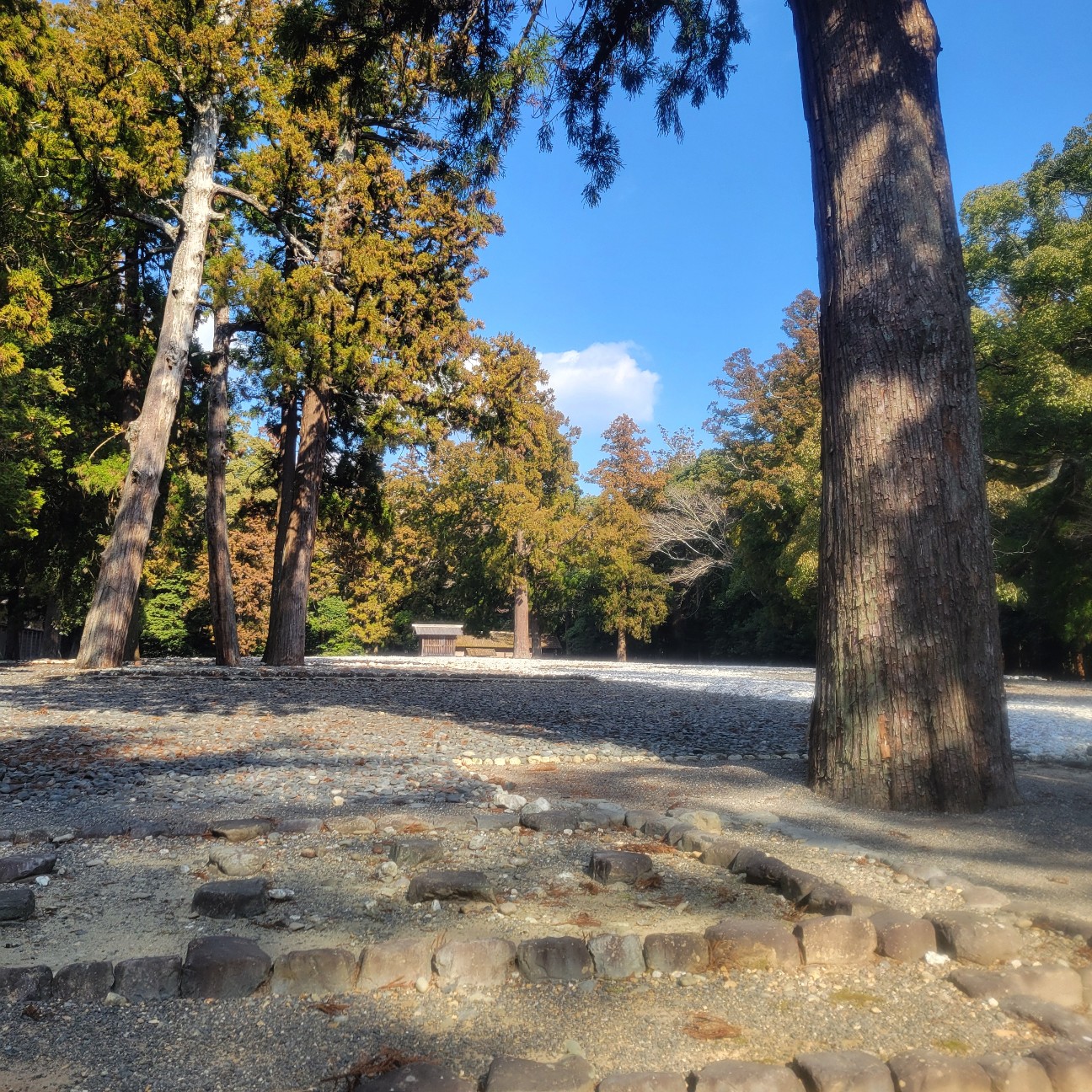 f:id:atoriatoriatori:20260129162406j:image