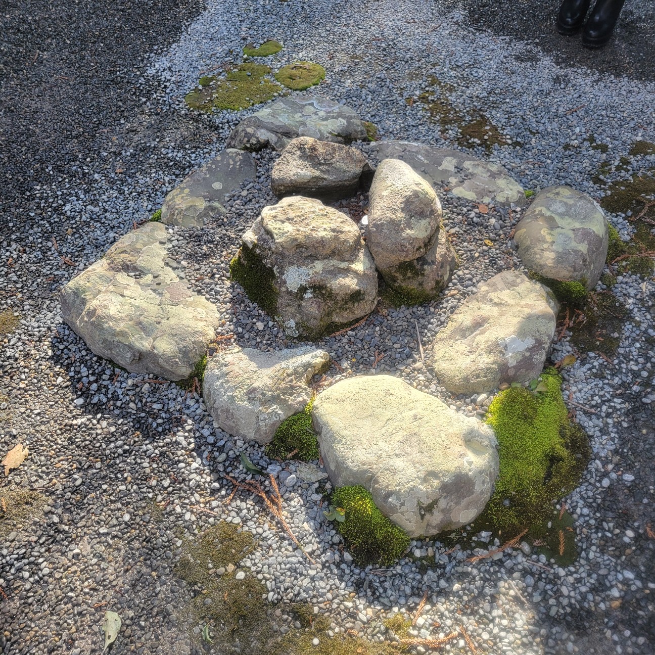 f:id:atoriatoriatori:20260129163151j:image