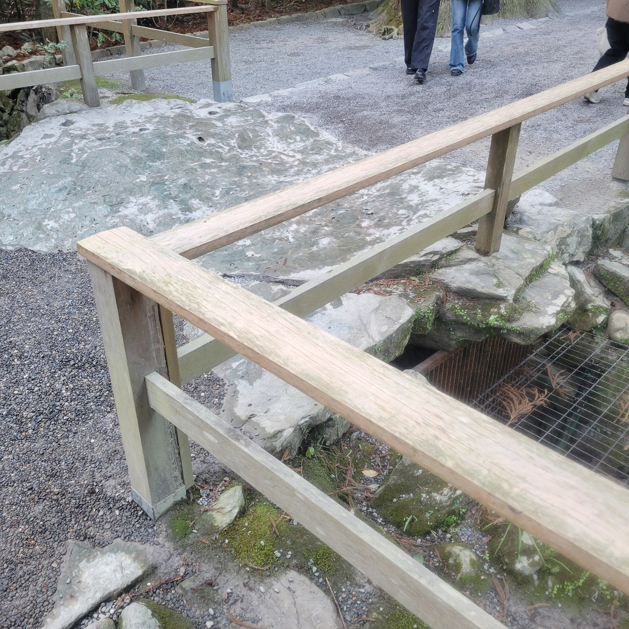 f:id:atoriatoriatori:20260129211146j:image f:id:atoriatoriatori:20260129211146j:image