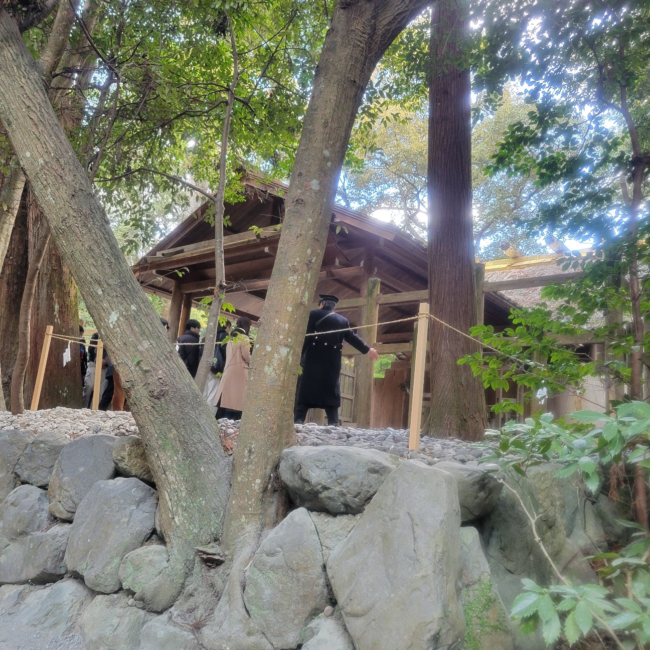 f:id:atoriatoriatori:20260129212559j:image f:id:atoriatoriatori:20260129212559j:image