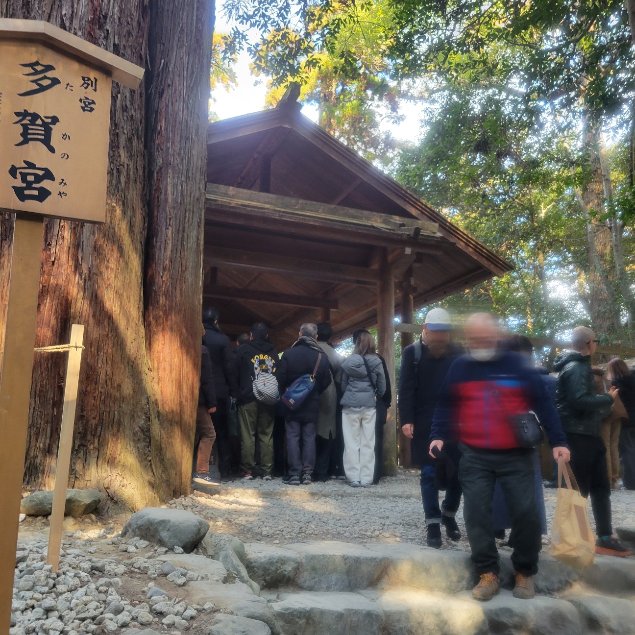 f:id:atoriatoriatori:20260129212607j:image f:id:atoriatoriatori:20260129212607j:image