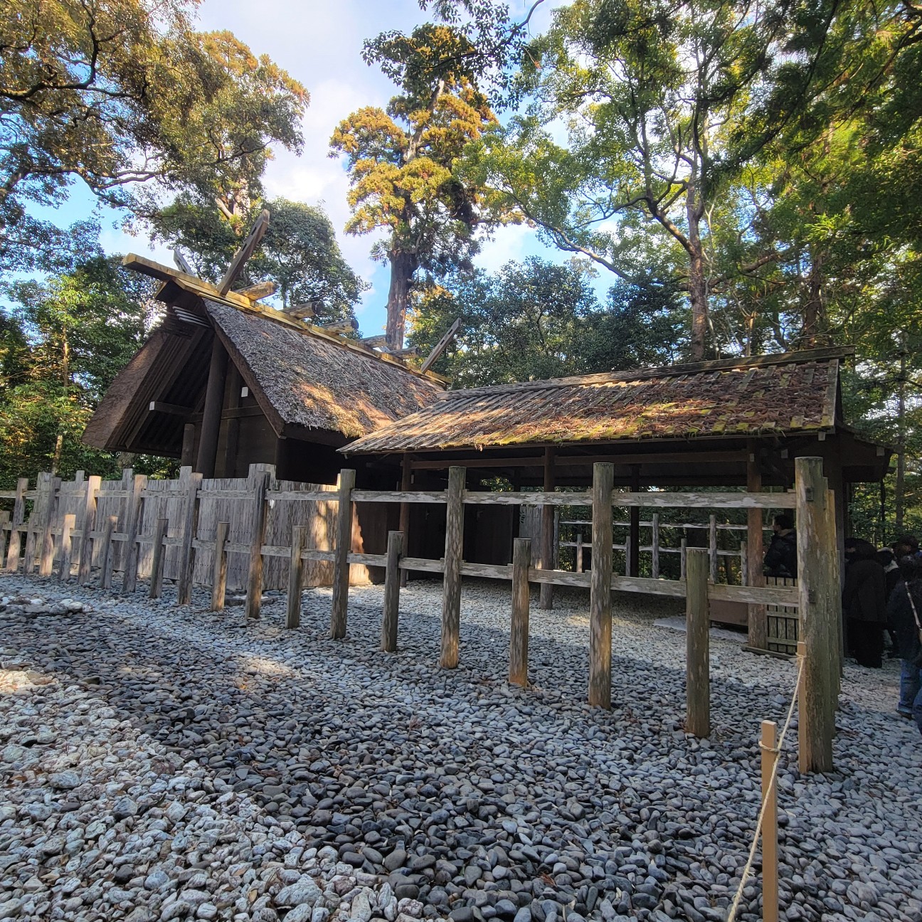 f:id:atoriatoriatori:20260130083220j:image f:id:atoriatoriatori:20260130083220j:image