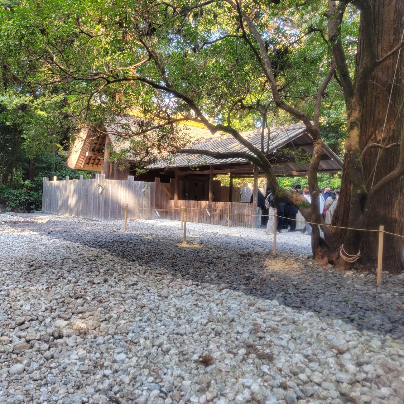 f:id:atoriatoriatori:20260130083232j:image f:id:atoriatoriatori:20260130083232j:image