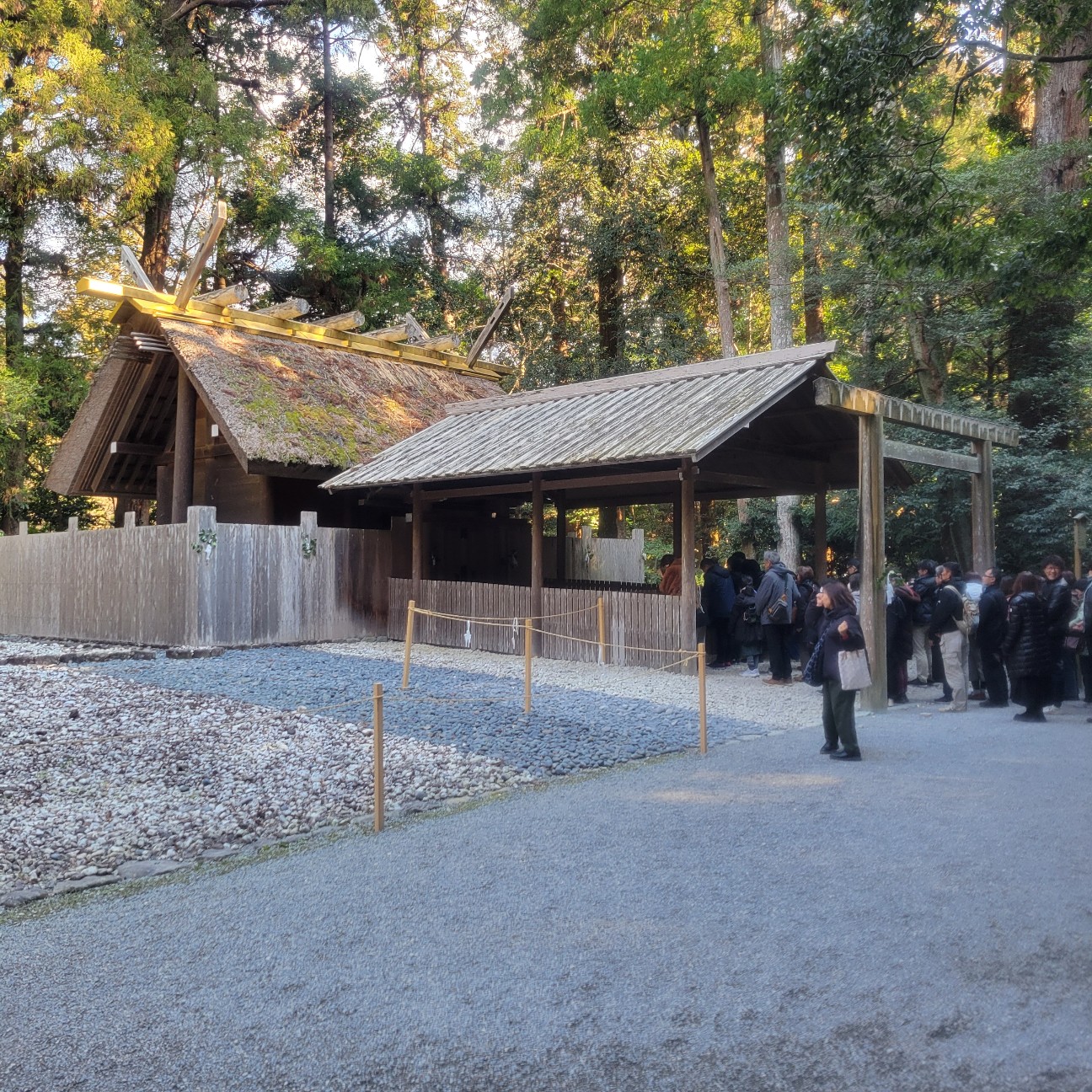 f:id:atoriatoriatori:20260130095359j:image f:id:atoriatoriatori:20260130095359j:image