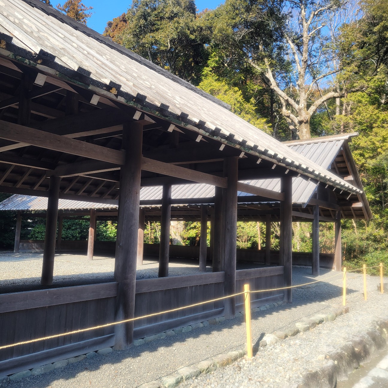 f:id:atoriatoriatori:20260130101011j:image f:id:atoriatoriatori:20260130101011j:image