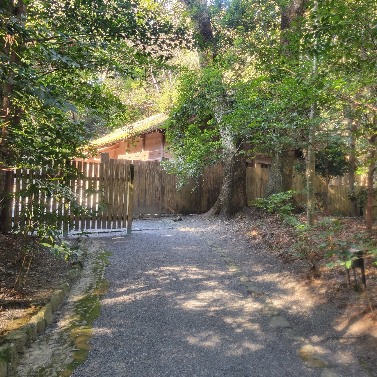 f:id:atoriatoriatori:20260130101452j:image f:id:atoriatoriatori:20260130101452j:image