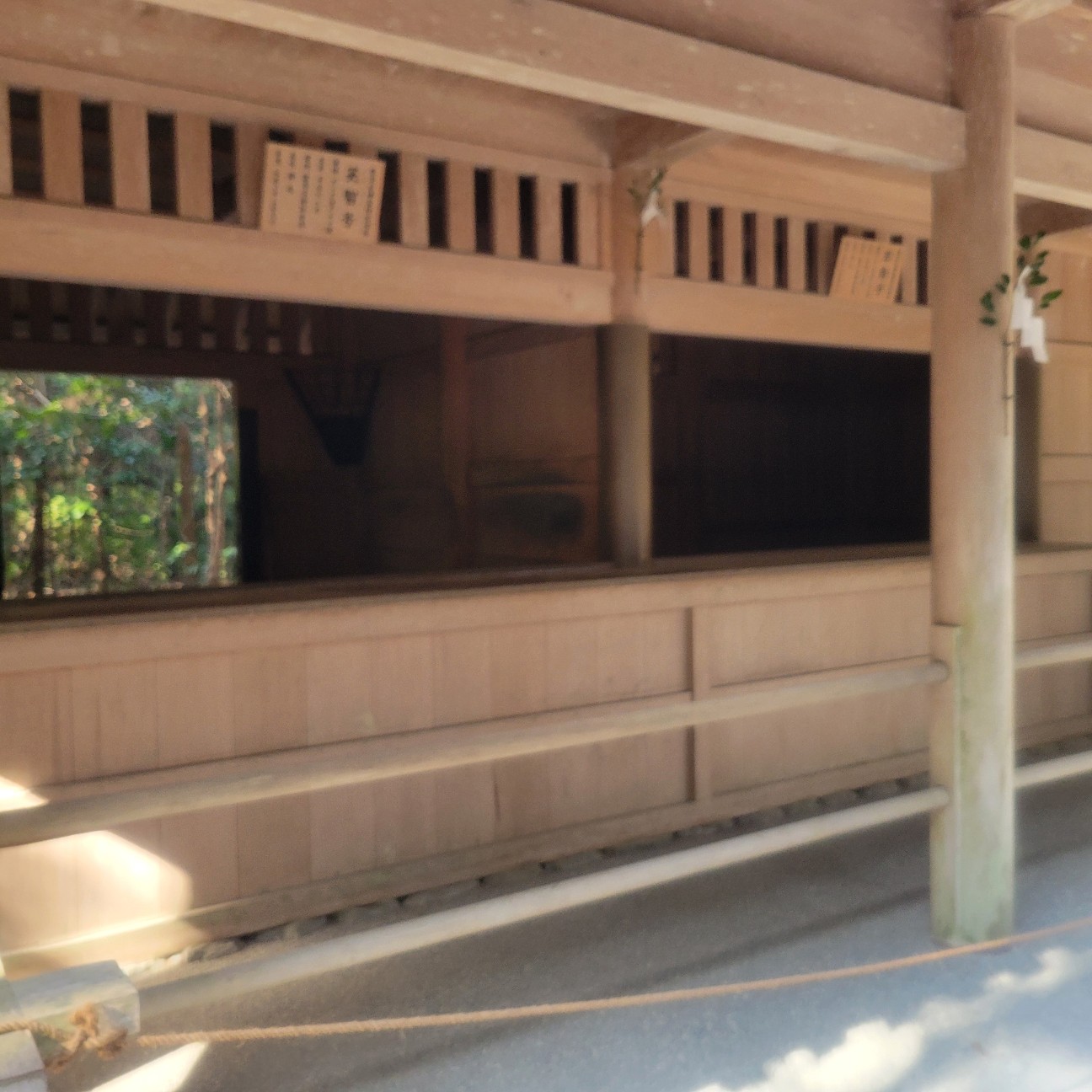 f:id:atoriatoriatori:20260130115009j:image f:id:atoriatoriatori:20260130115009j:image