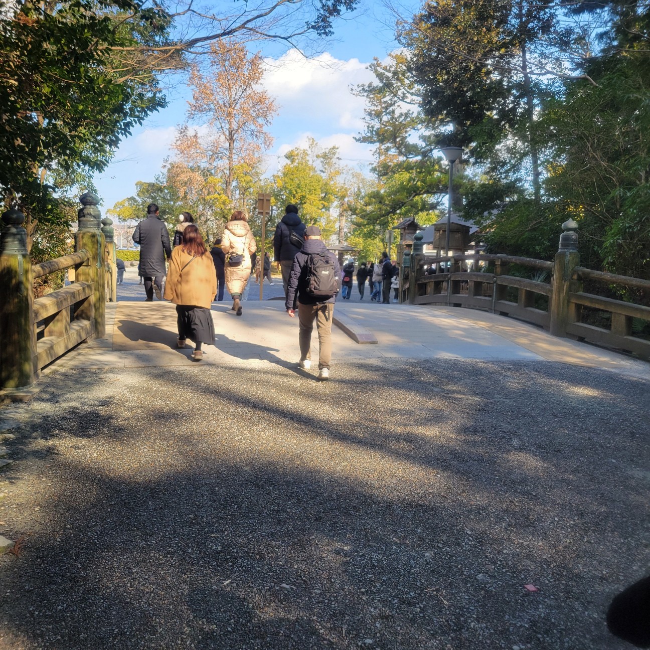 f:id:atoriatoriatori:20260130115458j:image f:id:atoriatoriatori:20260130115458j:image