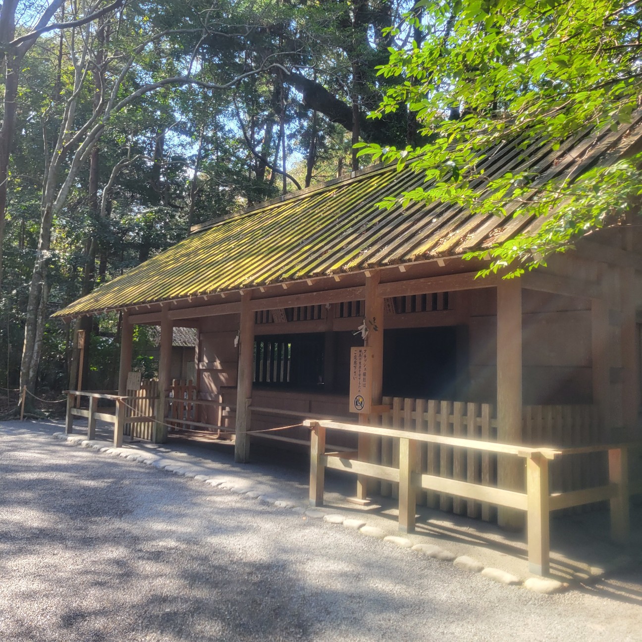 f:id:atoriatoriatori:20260130120156j:image f:id:atoriatoriatori:20260130120156j:image