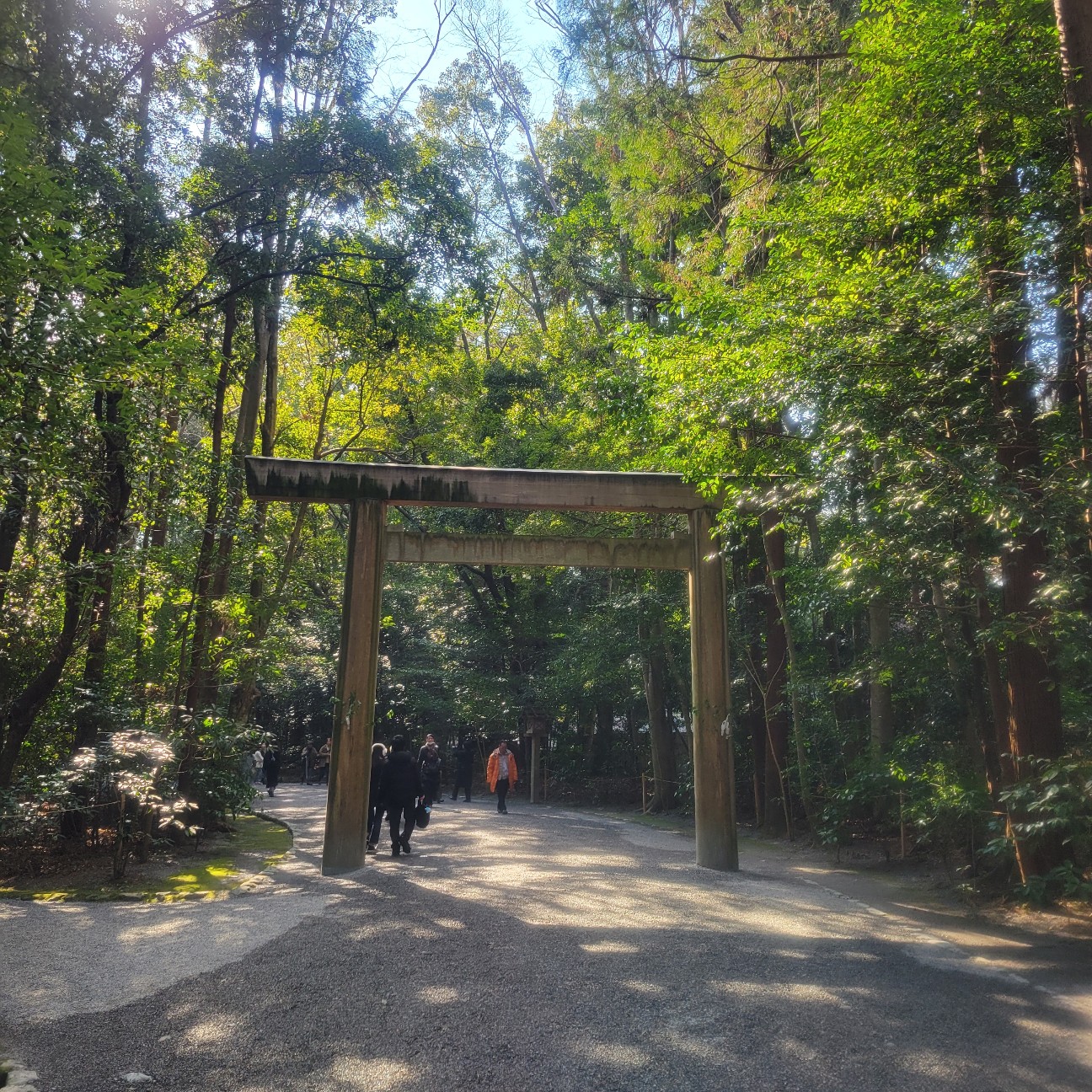 f:id:atoriatoriatori:20260130120328j:image f:id:atoriatoriatori:20260130120328j:image