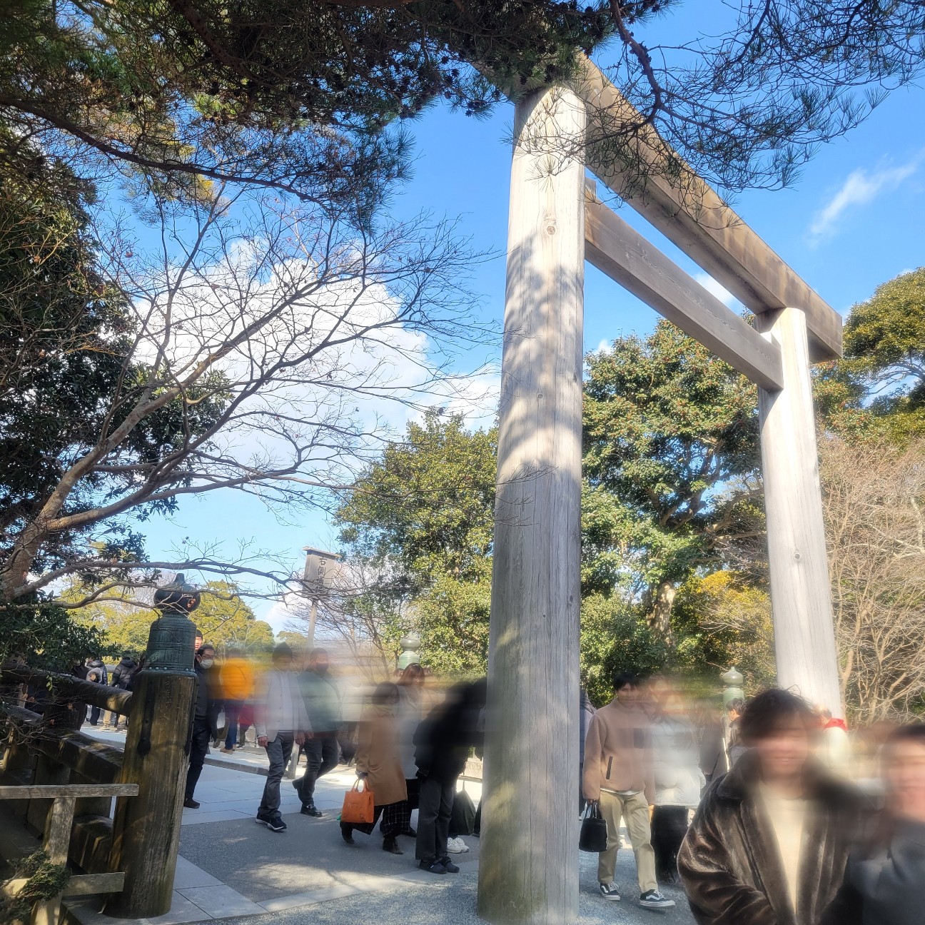 f:id:atoriatoriatori:20260130130806j:image f:id:atoriatoriatori:20260130130806j:image