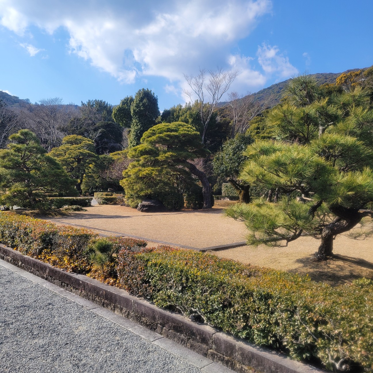 f:id:atoriatoriatori:20260130151440j:image f:id:atoriatoriatori:20260130151440j:image