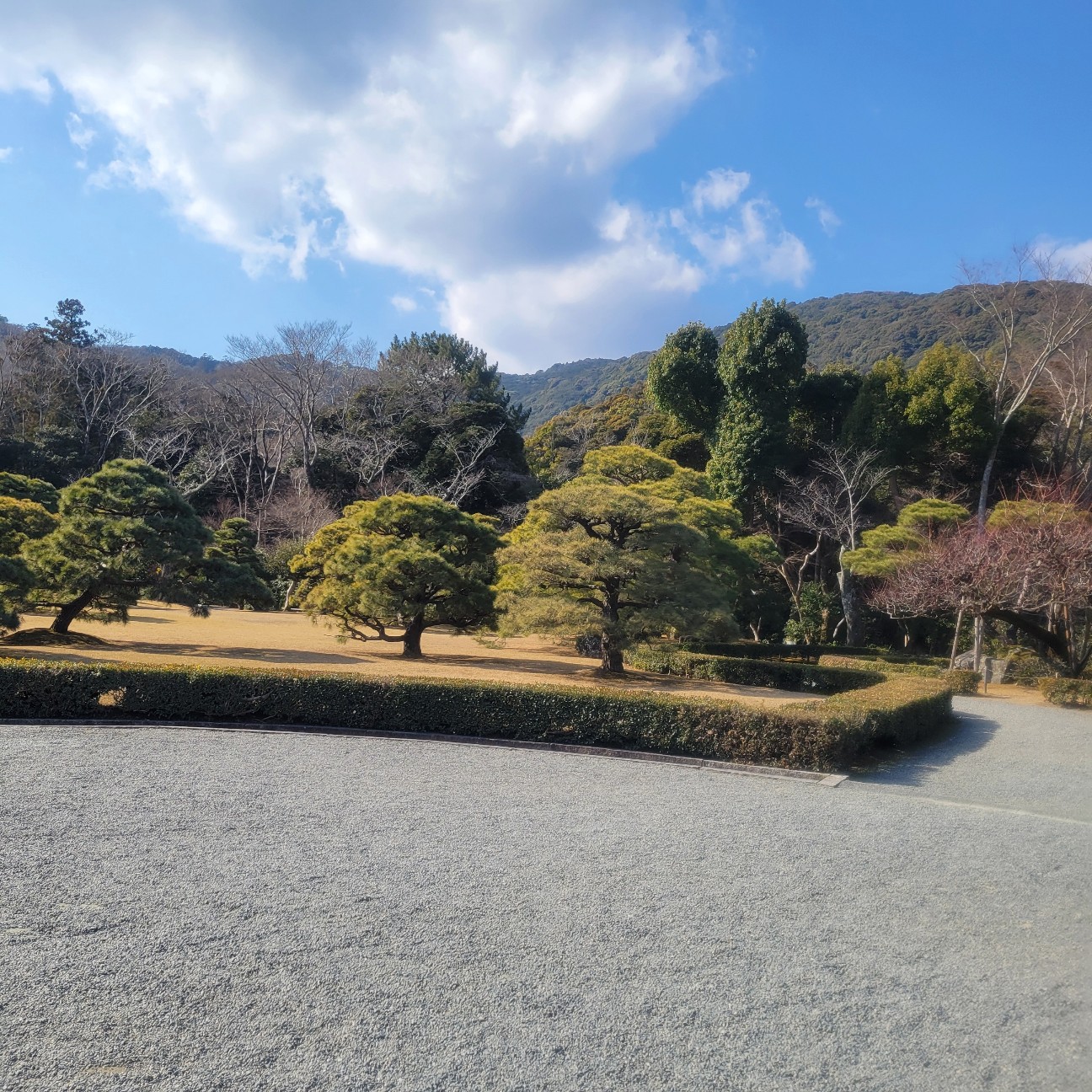 f:id:atoriatoriatori:20260130151441j:image f:id:atoriatoriatori:20260130151441j:image