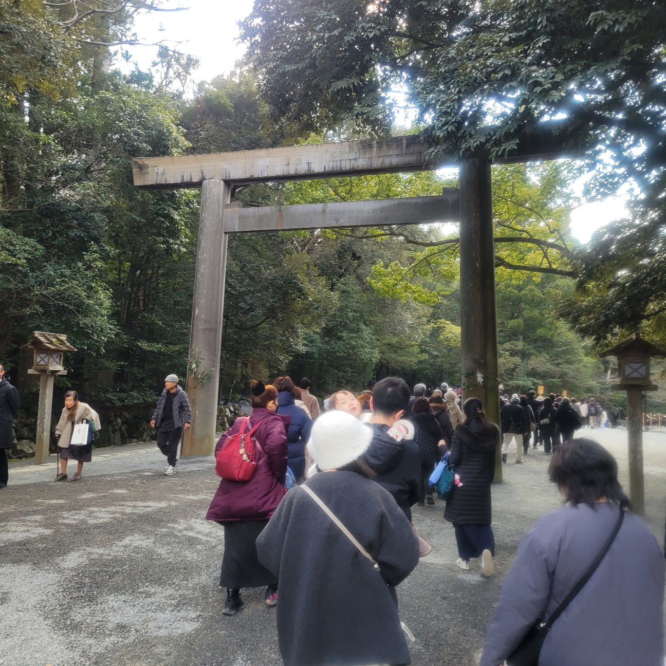f:id:atoriatoriatori:20260130151505j:image f:id:atoriatoriatori:20260130151505j:image