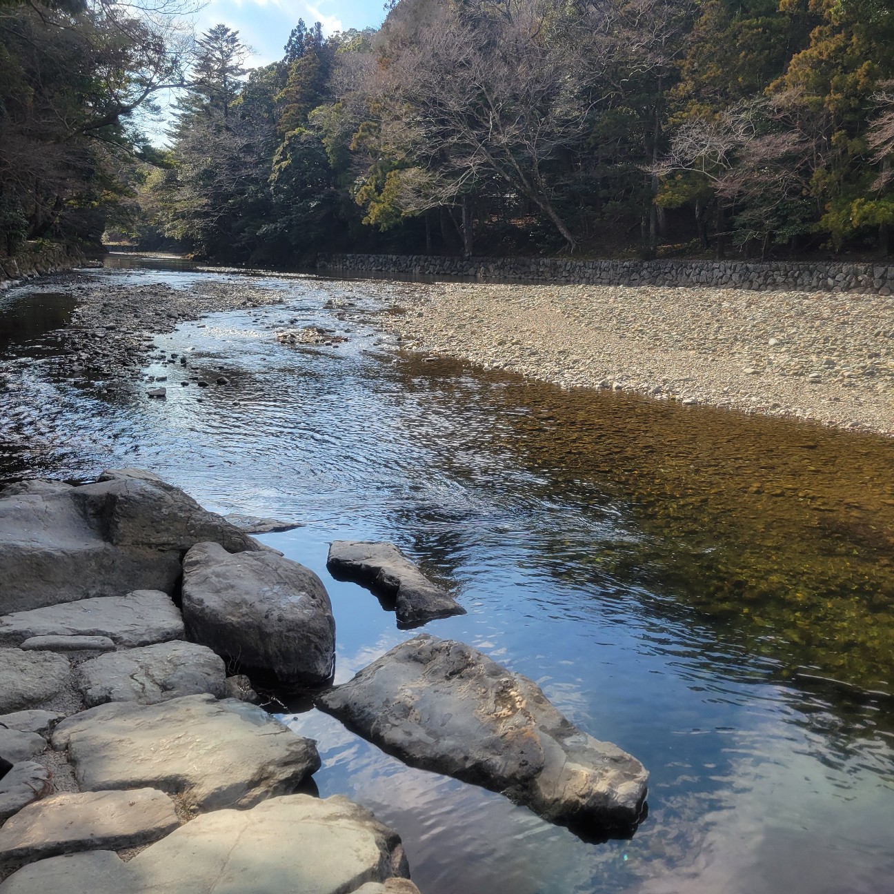 f:id:atoriatoriatori:20260130160221j:image f:id:atoriatoriatori:20260130160221j:image