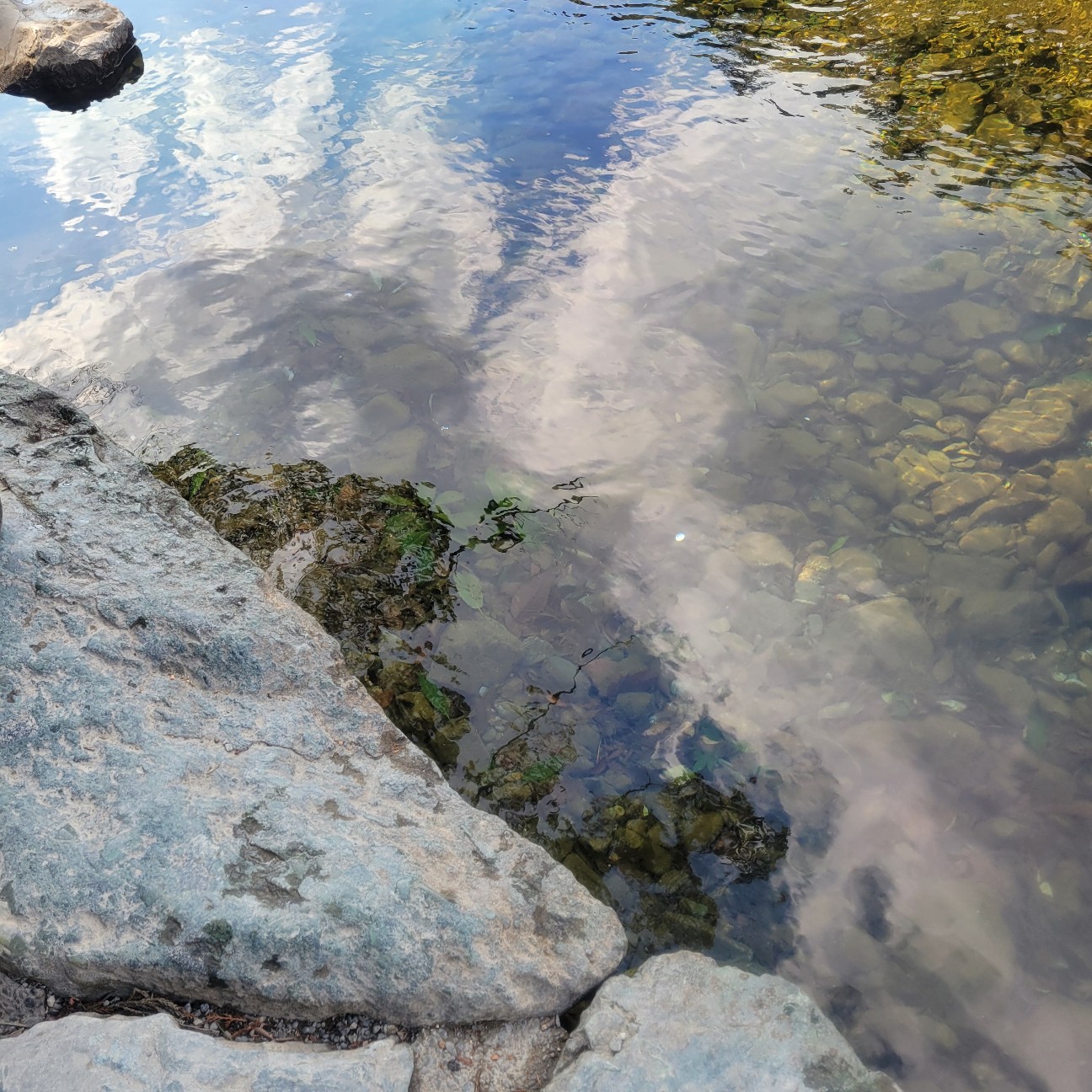 f:id:atoriatoriatori:20260130160222j:image f:id:atoriatoriatori:20260130160222j:image
