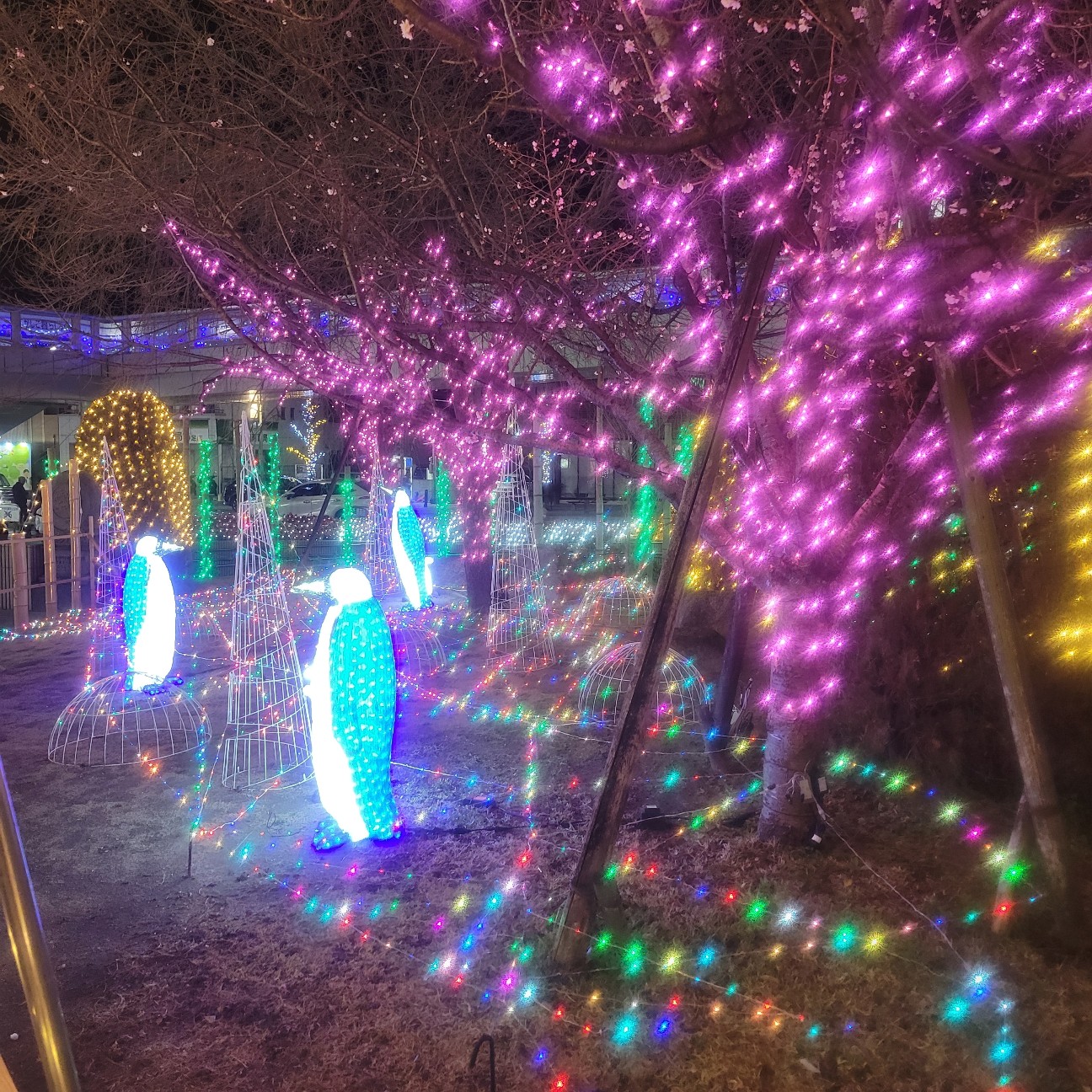 f:id:atoriatoriatori:20260131170912j:image