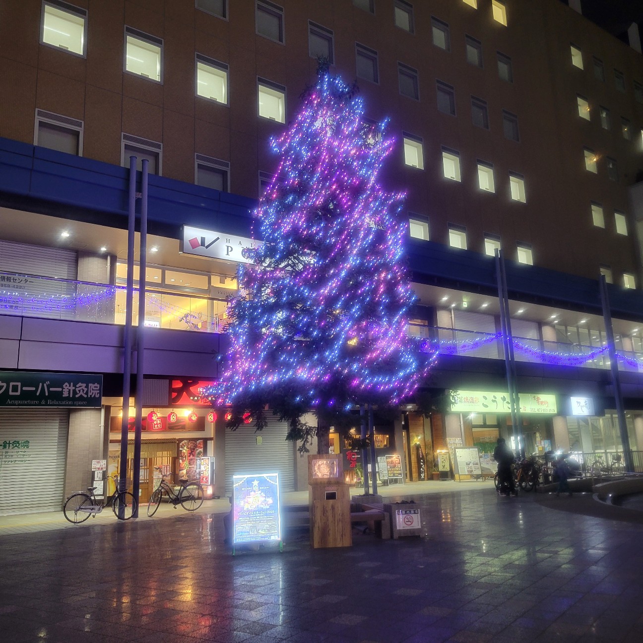 f:id:atoriatoriatori:20260131170915j:image