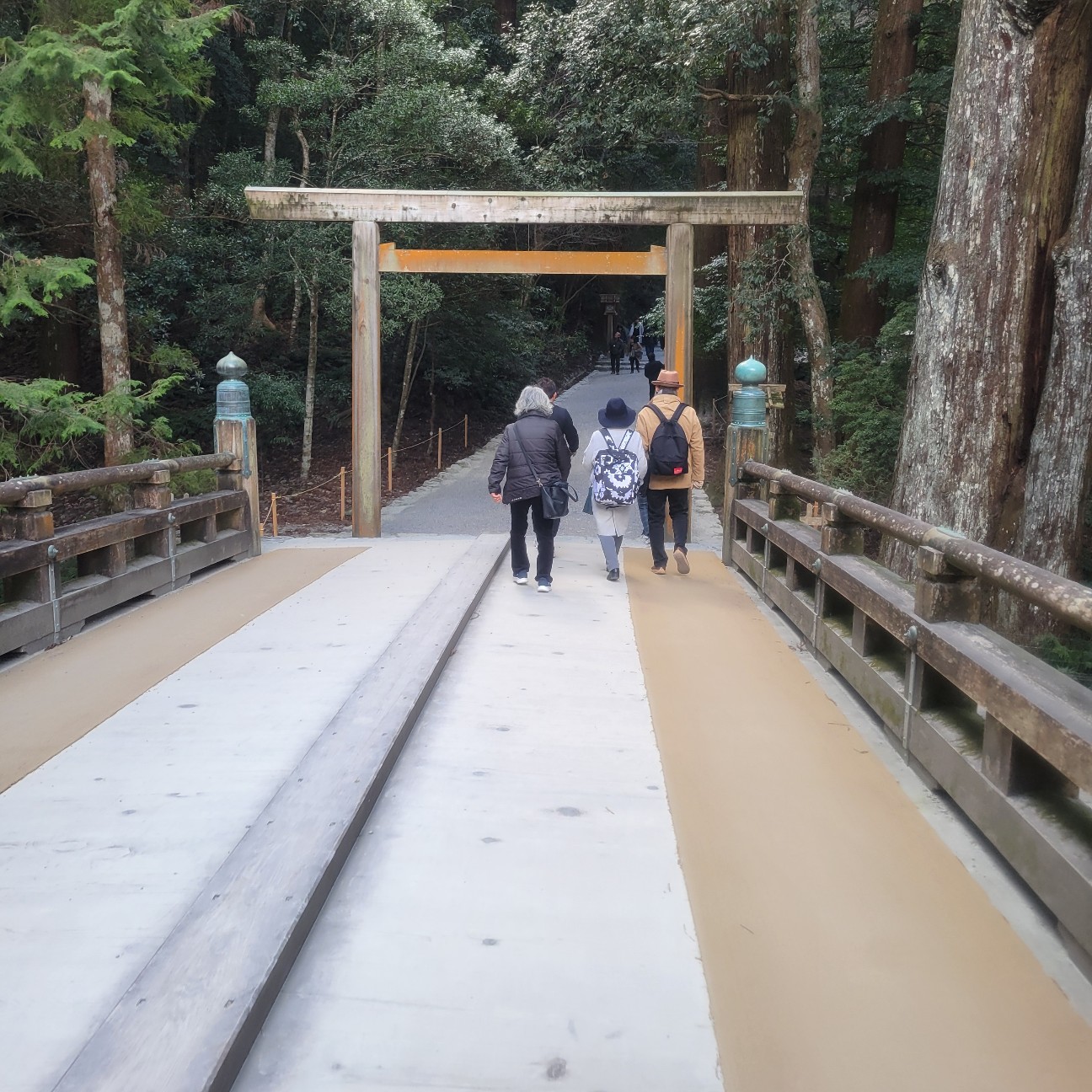 f:id:atoriatoriatori:20260201111116j:image f:id:atoriatoriatori:20260201111116j:image
