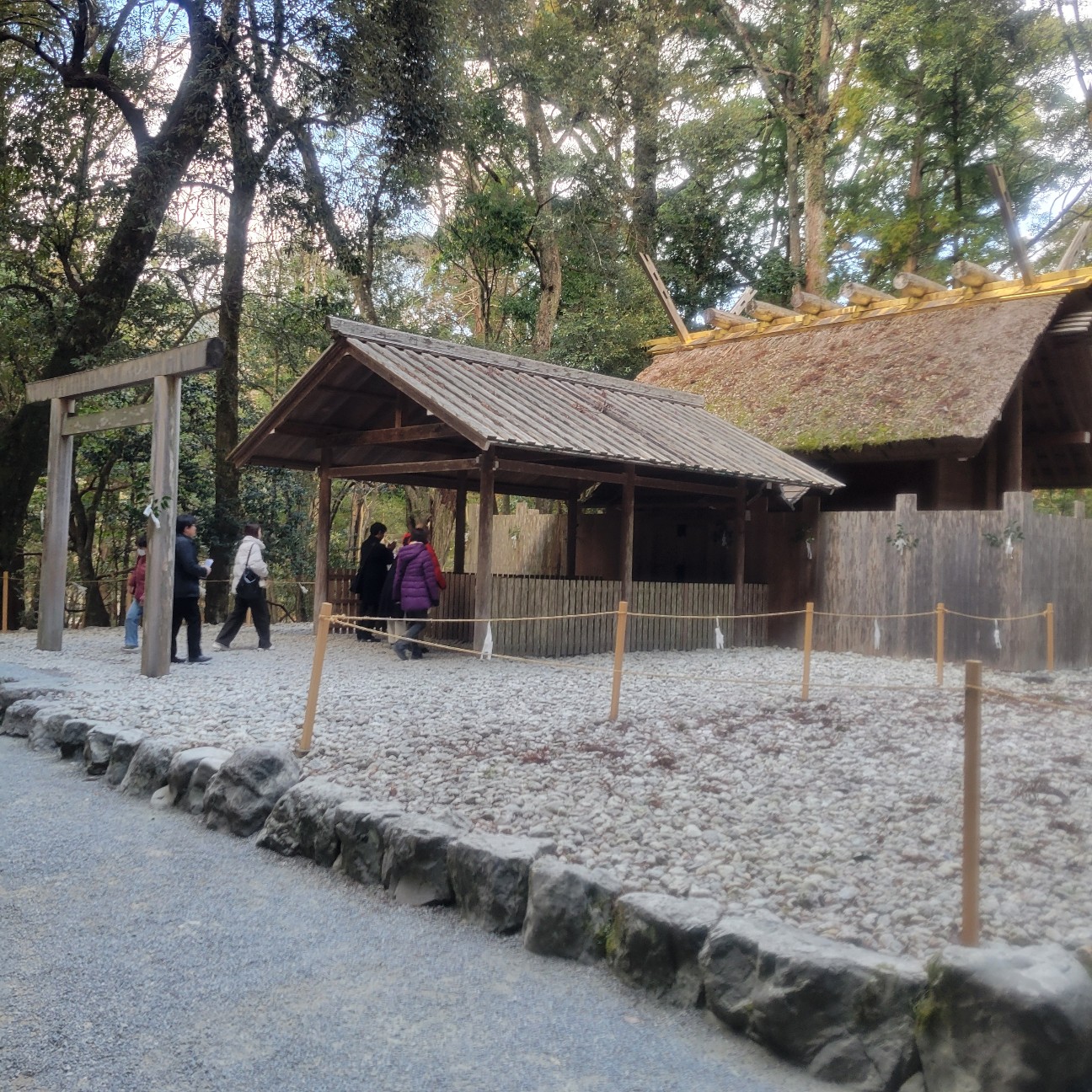 f:id:atoriatoriatori:20260201111125j:image f:id:atoriatoriatori:20260201111125j:image