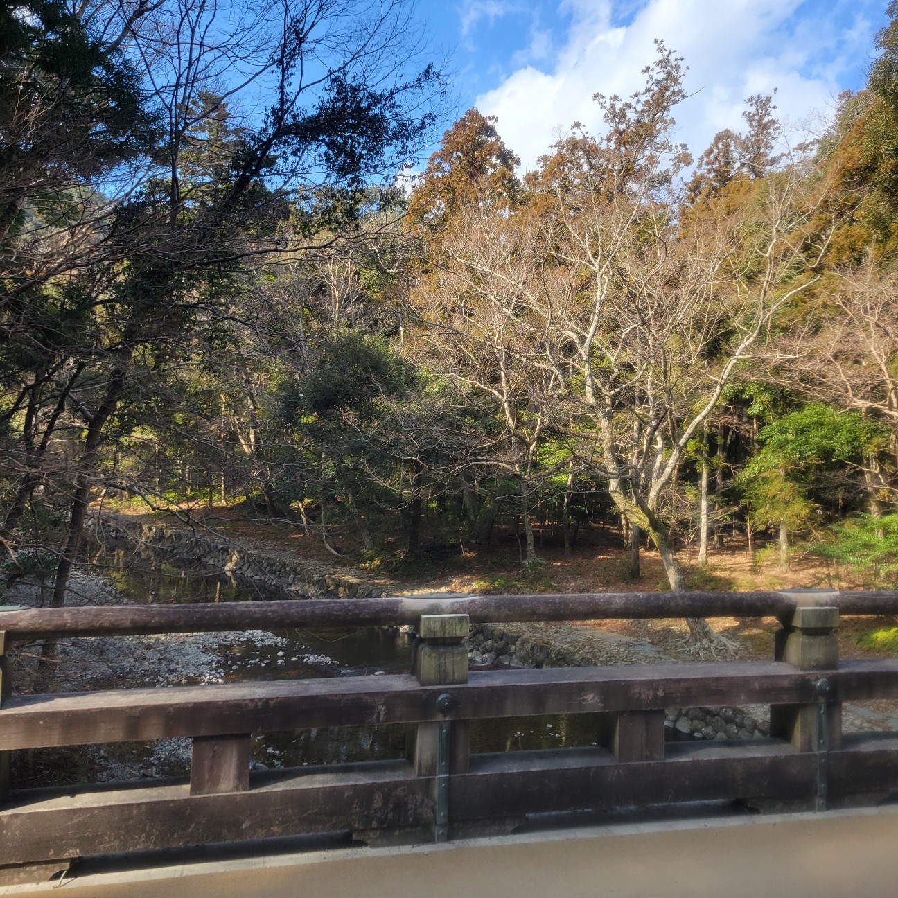 f:id:atoriatoriatori:20260201111145j:image f:id:atoriatoriatori:20260201111145j:image