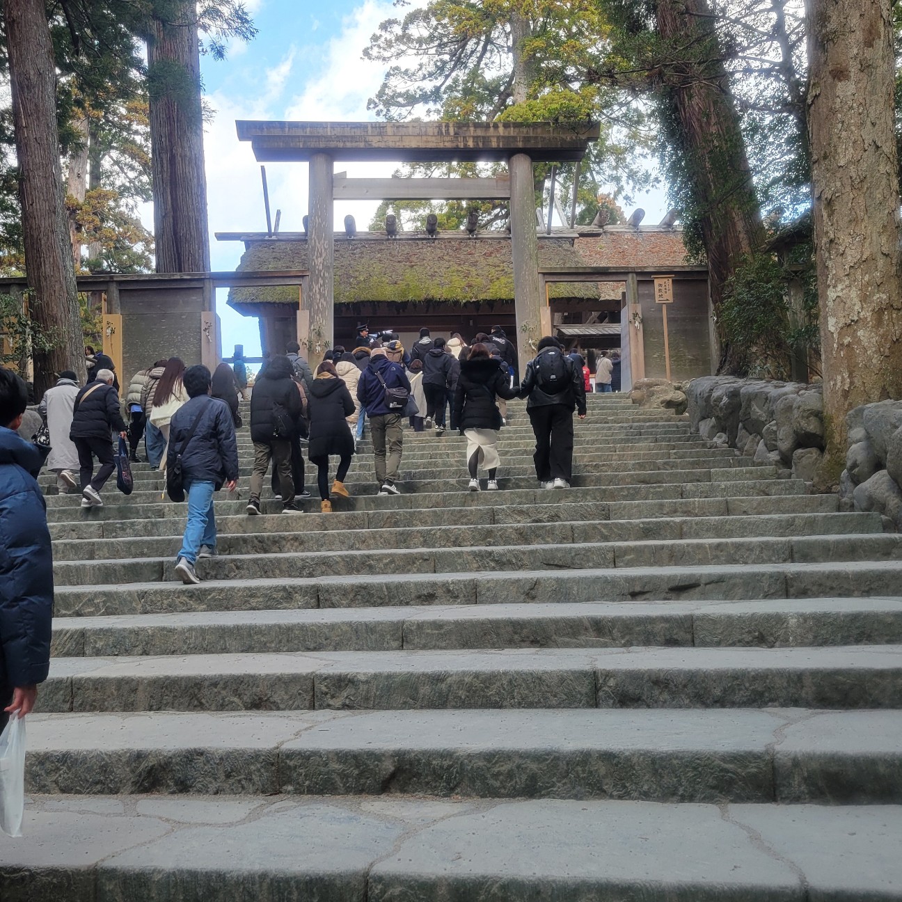 f:id:atoriatoriatori:20260201111408j:image f:id:atoriatoriatori:20260201111408j:image
