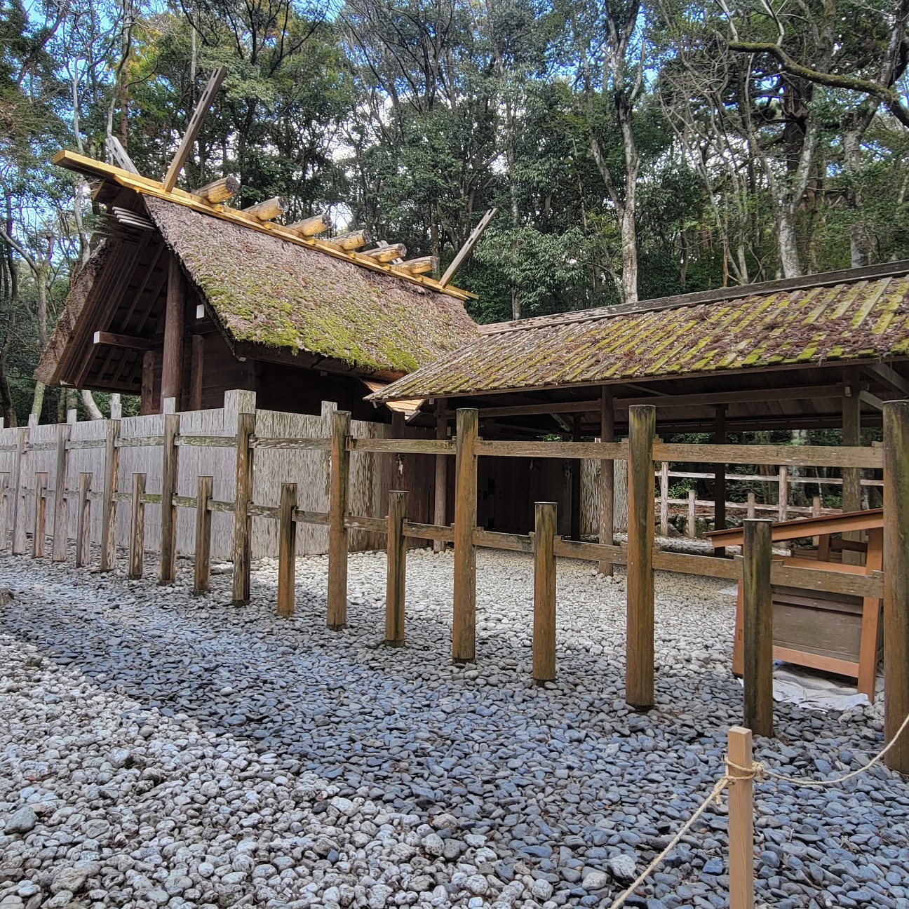 f:id:atoriatoriatori:20260201221121j:image f:id:atoriatoriatori:20260201221121j:image