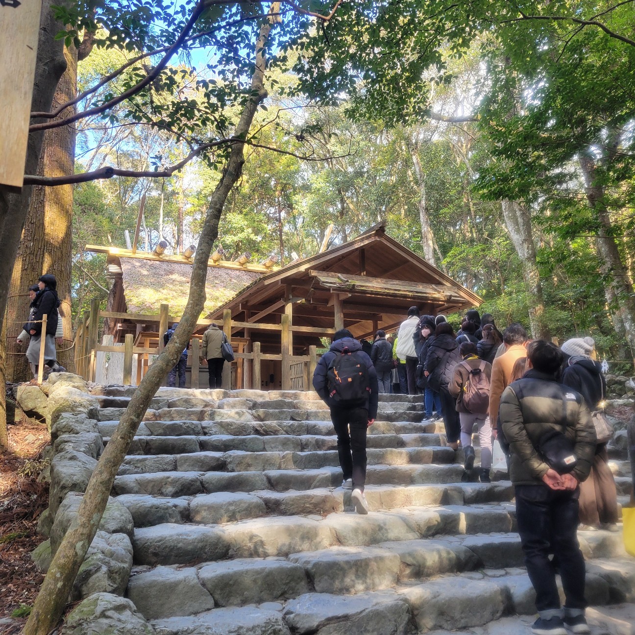 f:id:atoriatoriatori:20260201221122j:image f:id:atoriatoriatori:20260201221122j:image