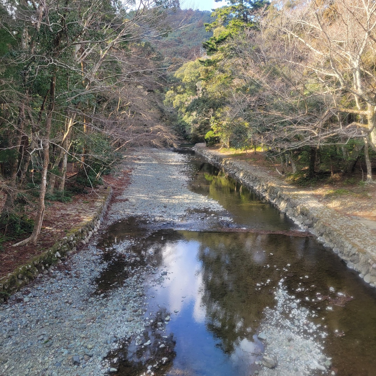 f:id:atoriatoriatori:20260202092820j:image f:id:atoriatoriatori:20260202092820j:image