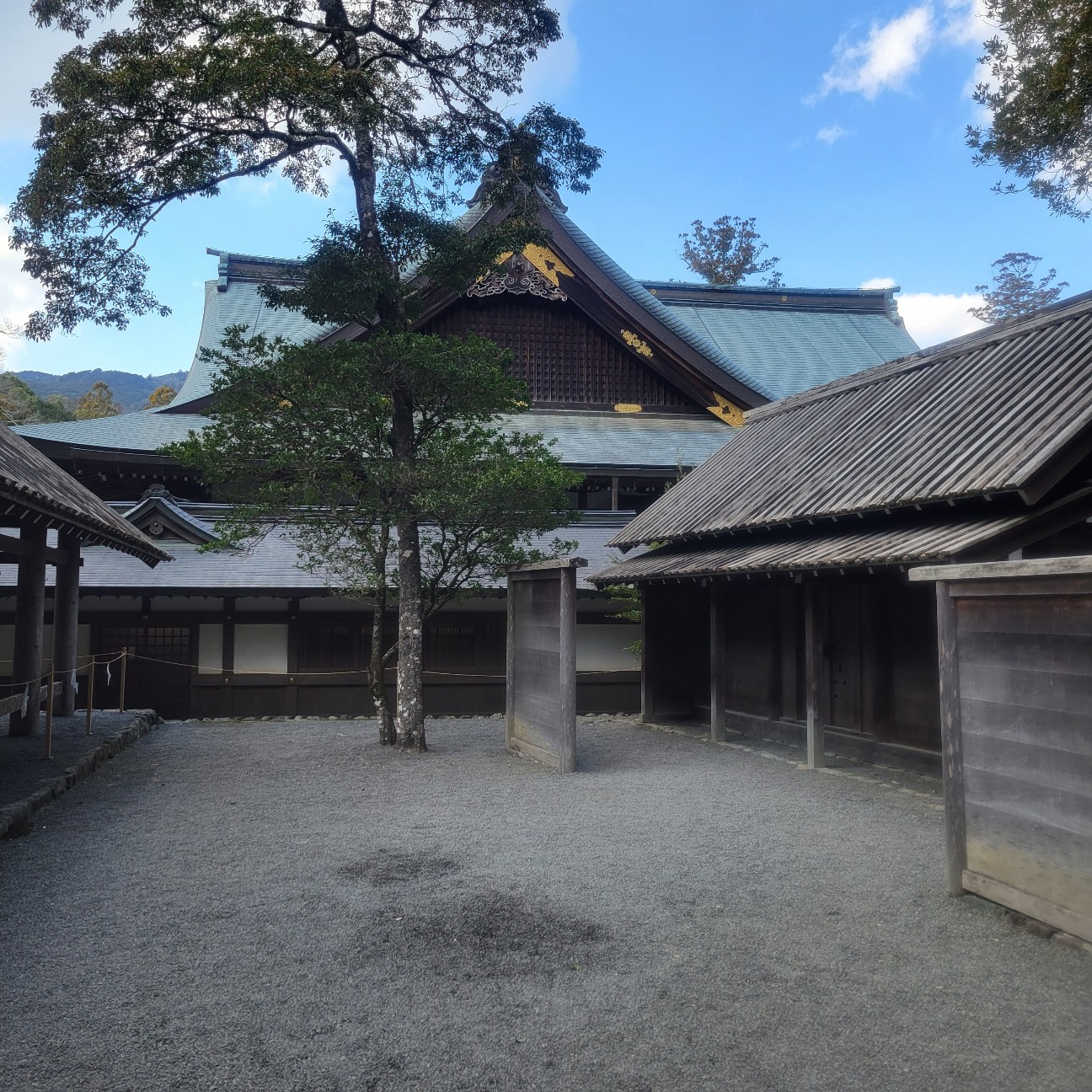 f:id:atoriatoriatori:20260202093357j:image f:id:atoriatoriatori:20260202093357j:image