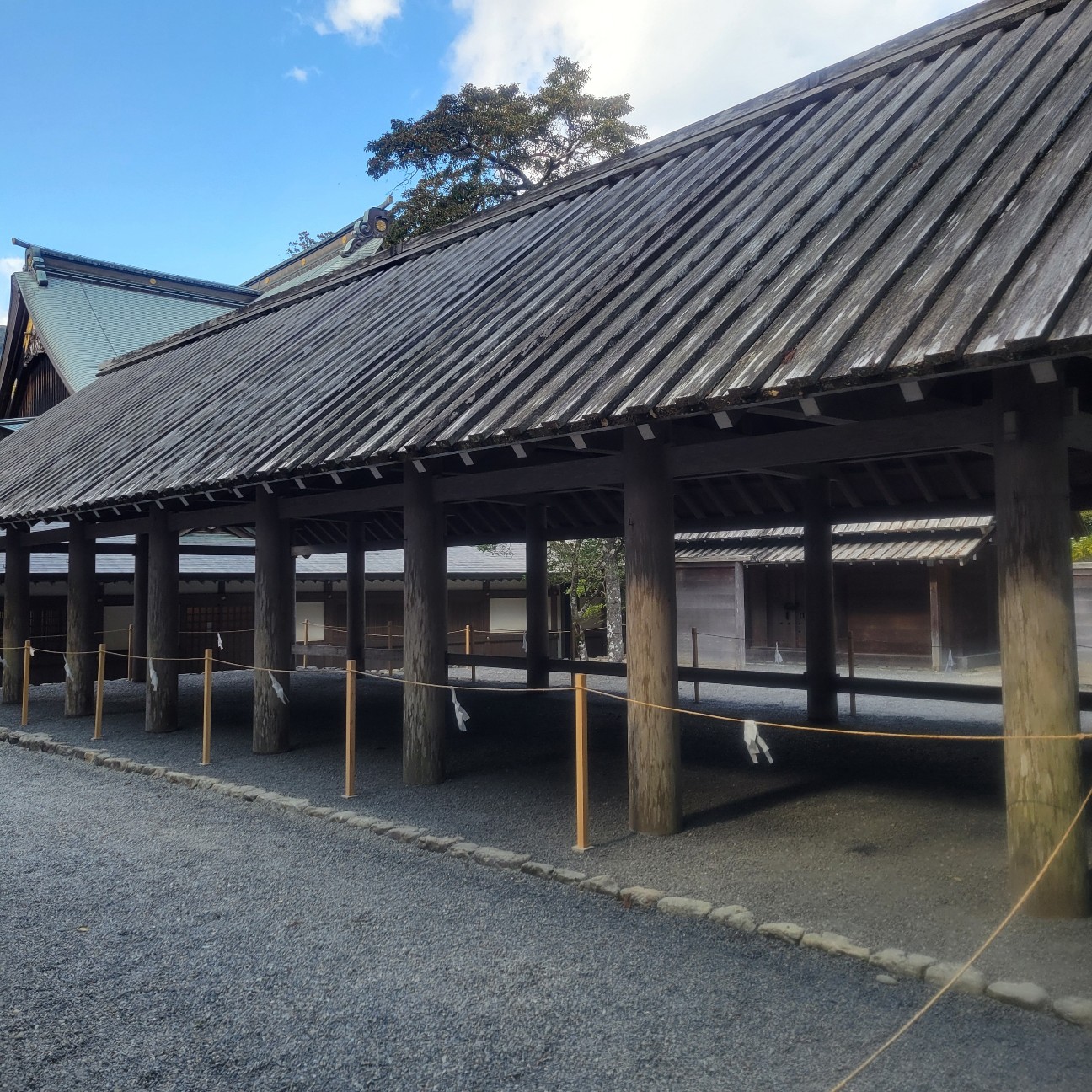 f:id:atoriatoriatori:20260202093528j:image f:id:atoriatoriatori:20260202093528j:image
