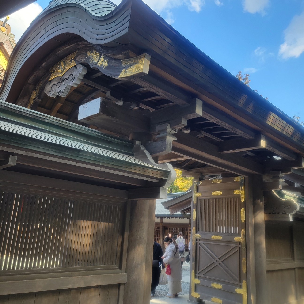 f:id:atoriatoriatori:20260202093956j:image f:id:atoriatoriatori:20260202093956j:image