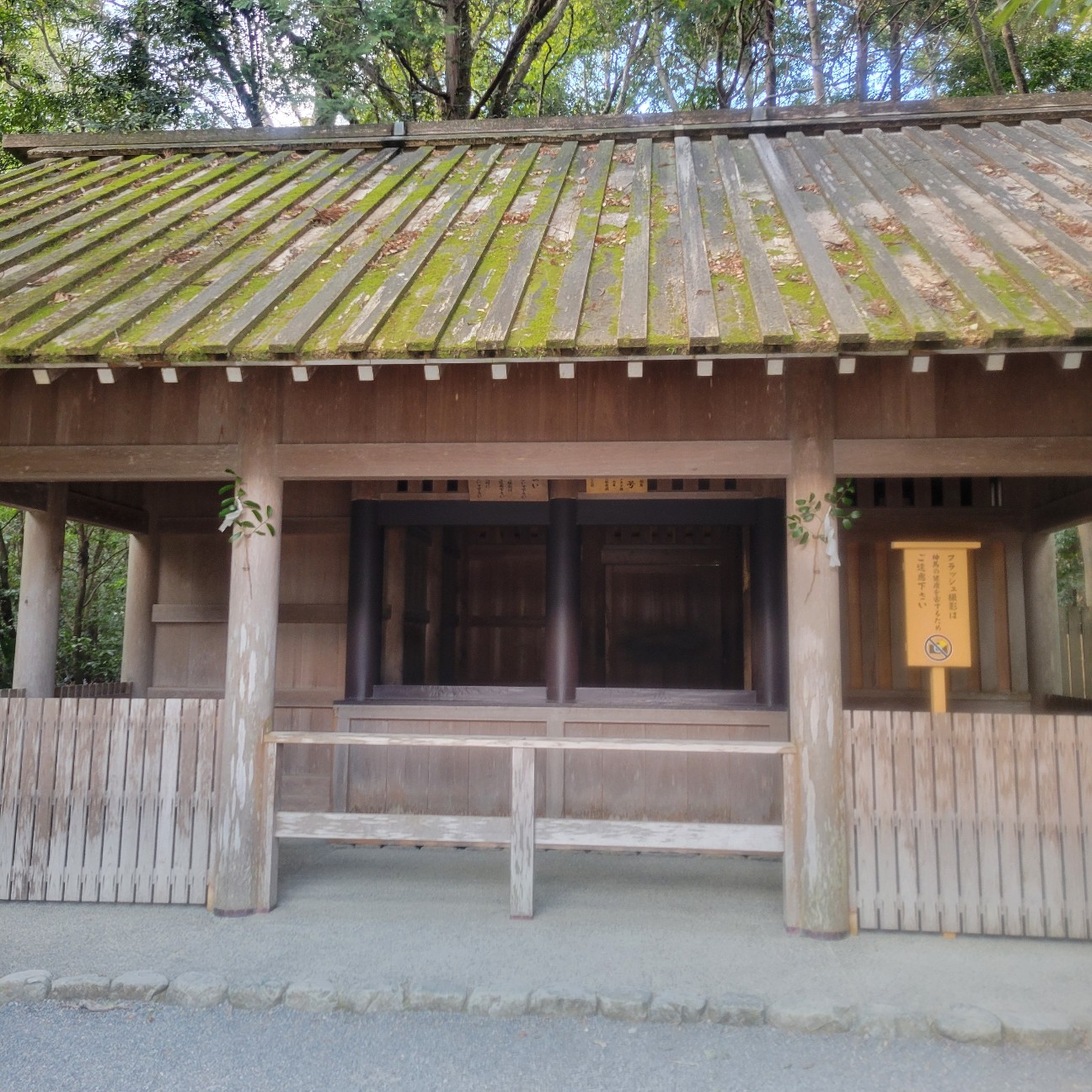 f:id:atoriatoriatori:20260202110404j:image f:id:atoriatoriatori:20260202110404j:image