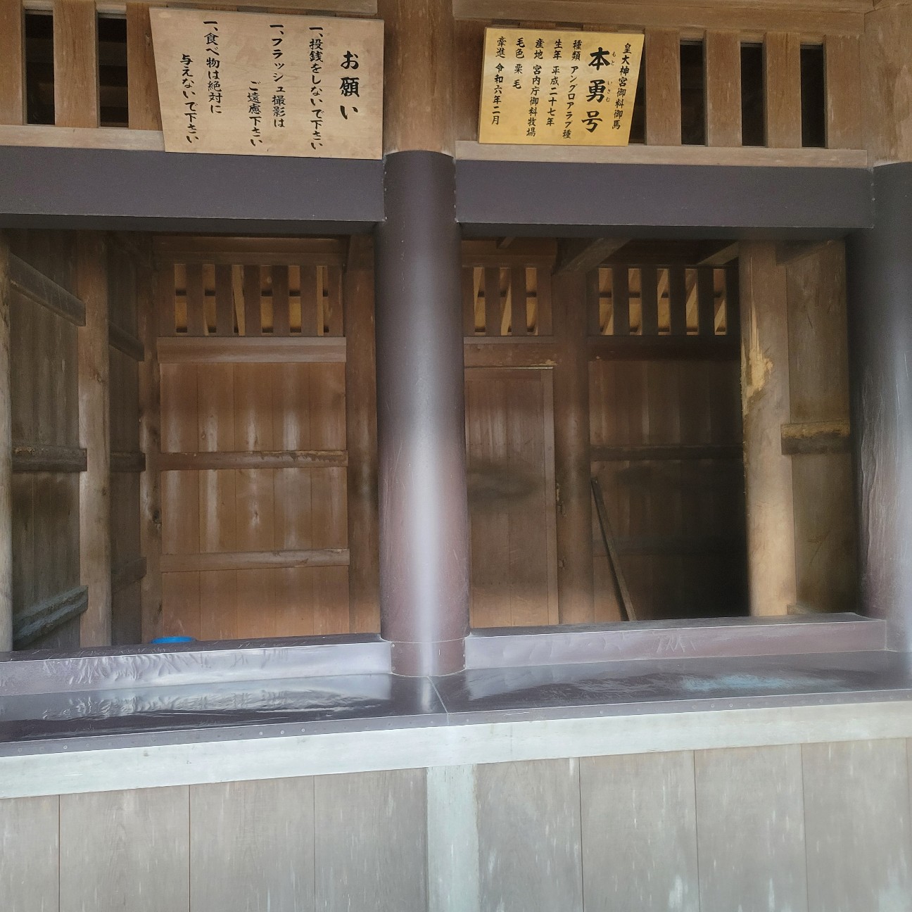 f:id:atoriatoriatori:20260202110411j:image f:id:atoriatoriatori:20260202110411j:image