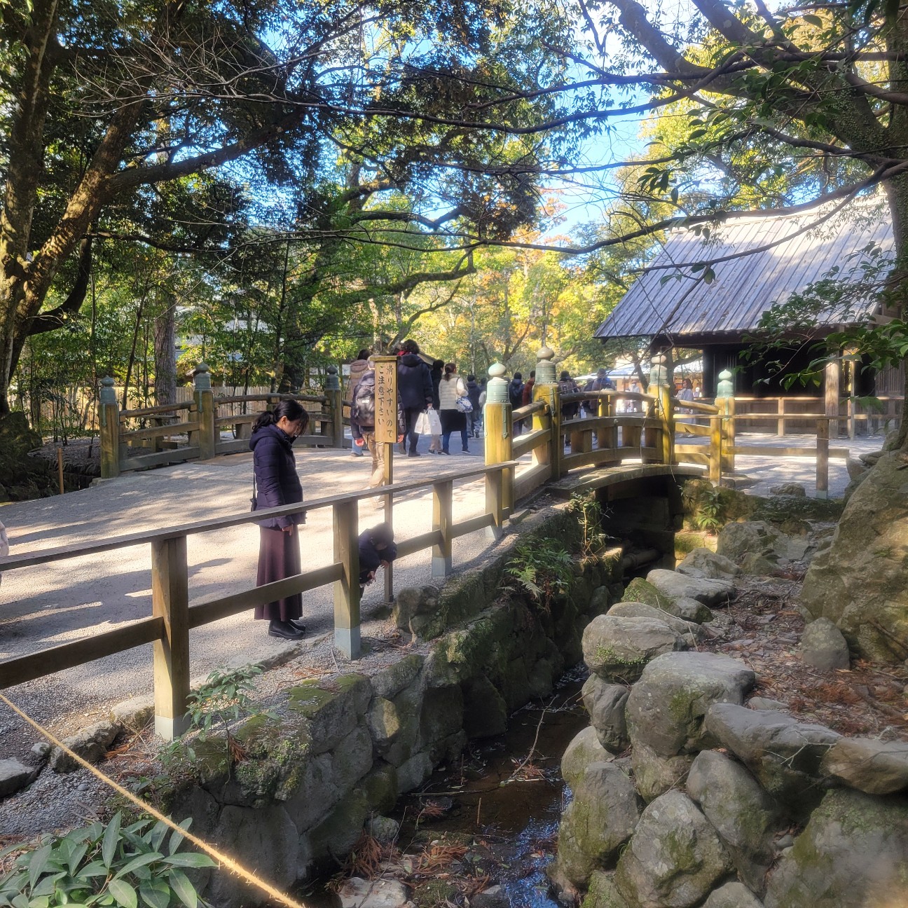 f:id:atoriatoriatori:20260202112113j:image f:id:atoriatoriatori:20260202112113j:image