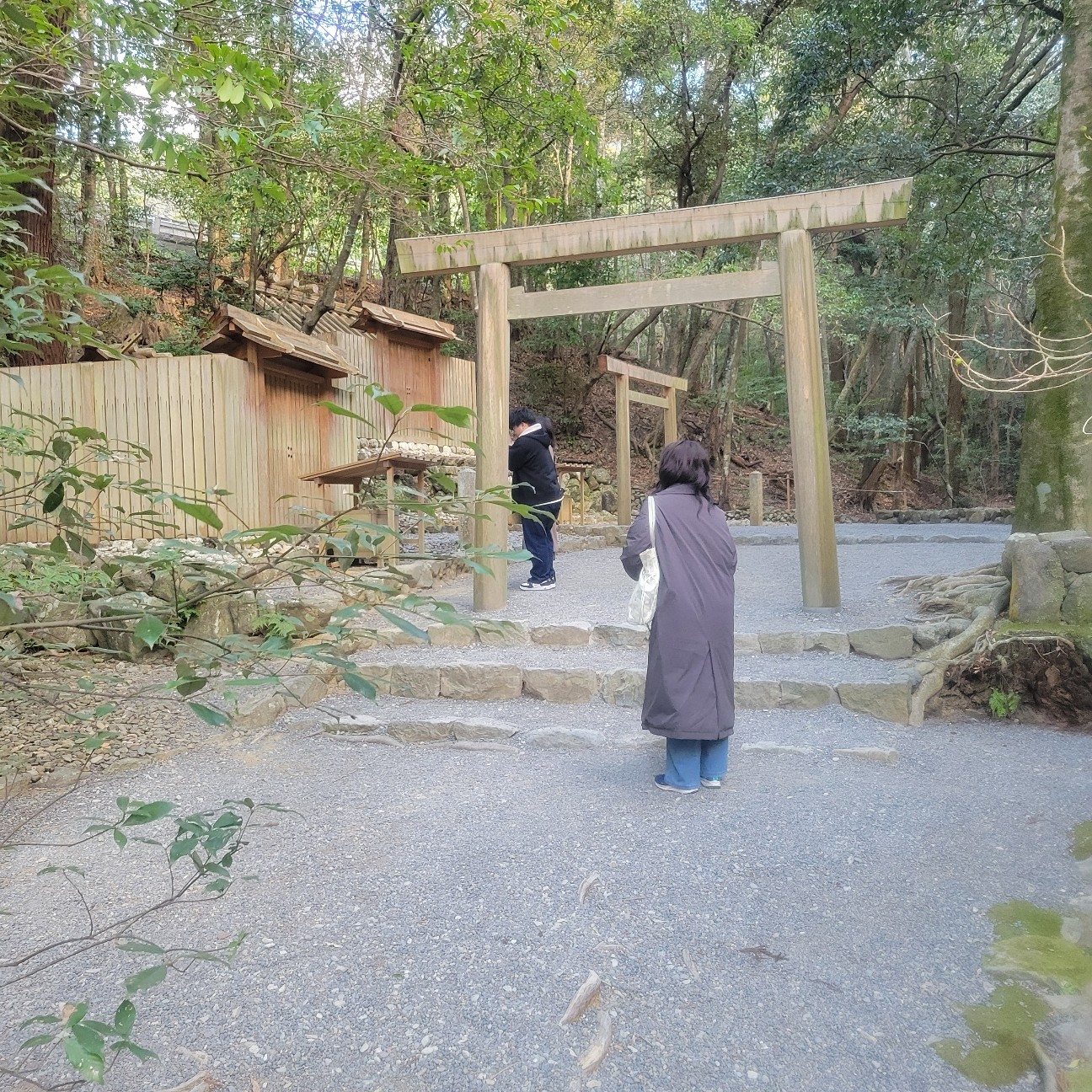 f:id:atoriatoriatori:20260202112332j:image f:id:atoriatoriatori:20260202112332j:image